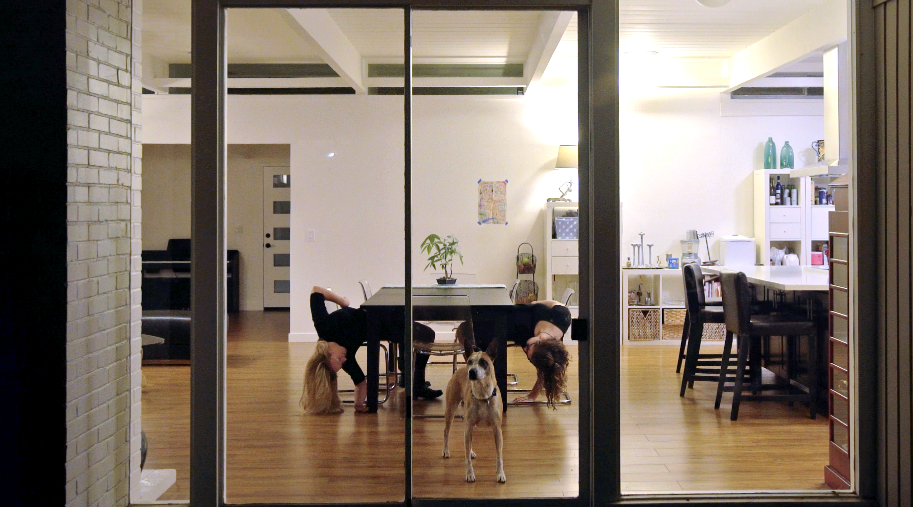 Still image from California Living Project II: Palo Alto 2017 footage captured by Nate Page