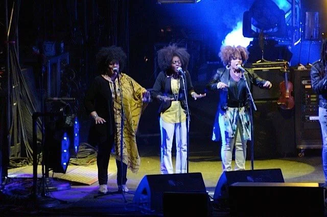 The Lovely Ladies of The Dave Matthews Band Summer Tour 2014 