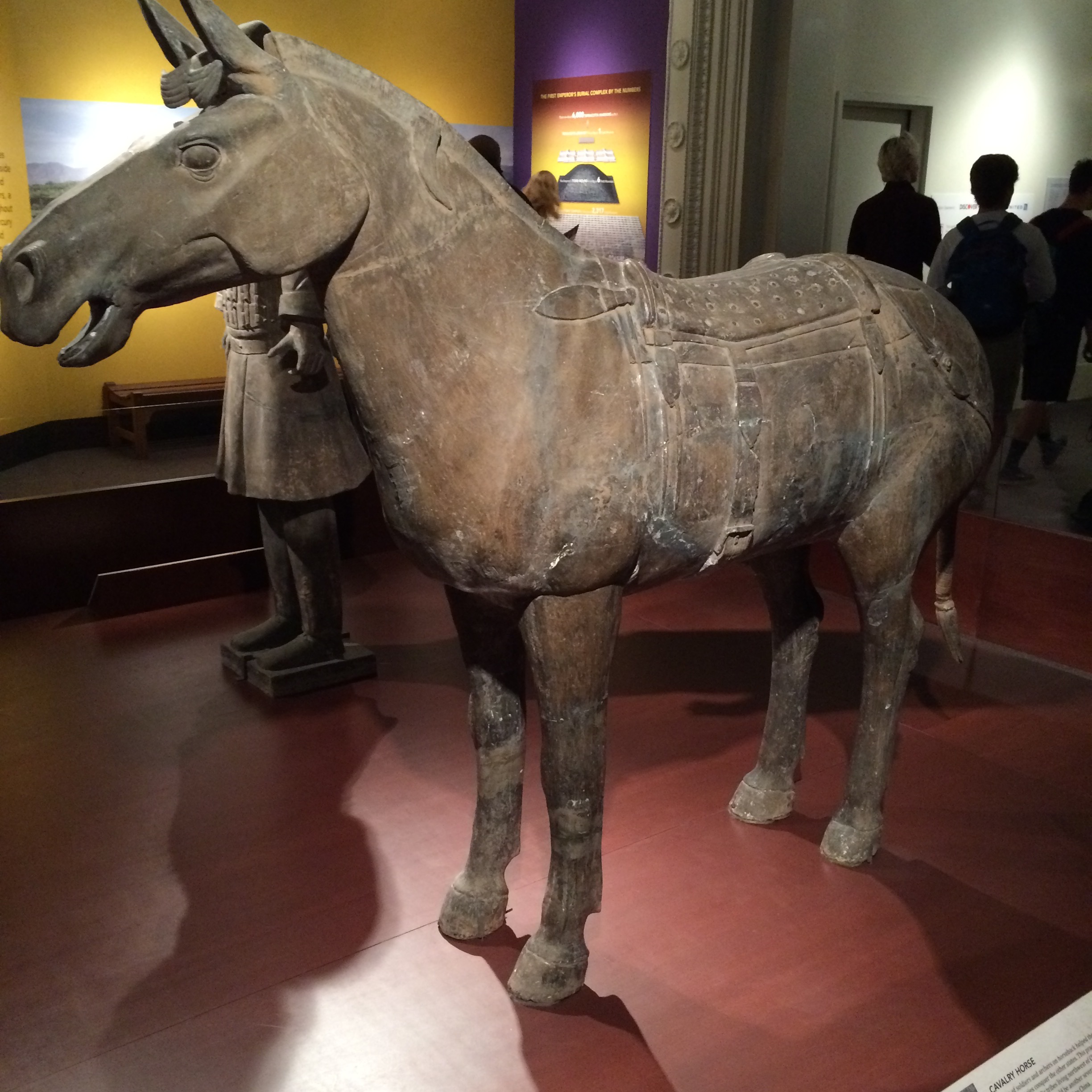 Cavalry horse