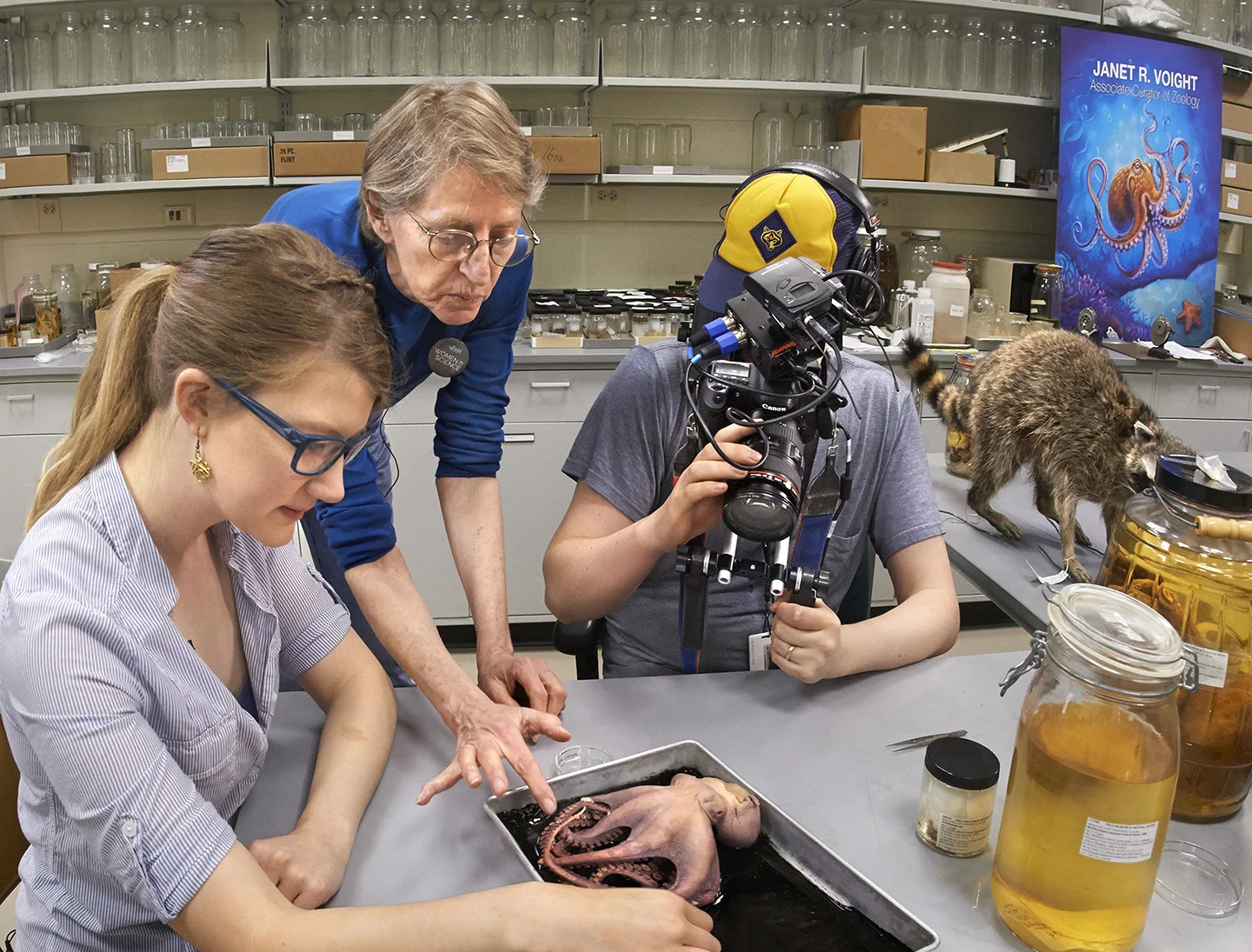 Emily Graslie — Girls Like You and Me