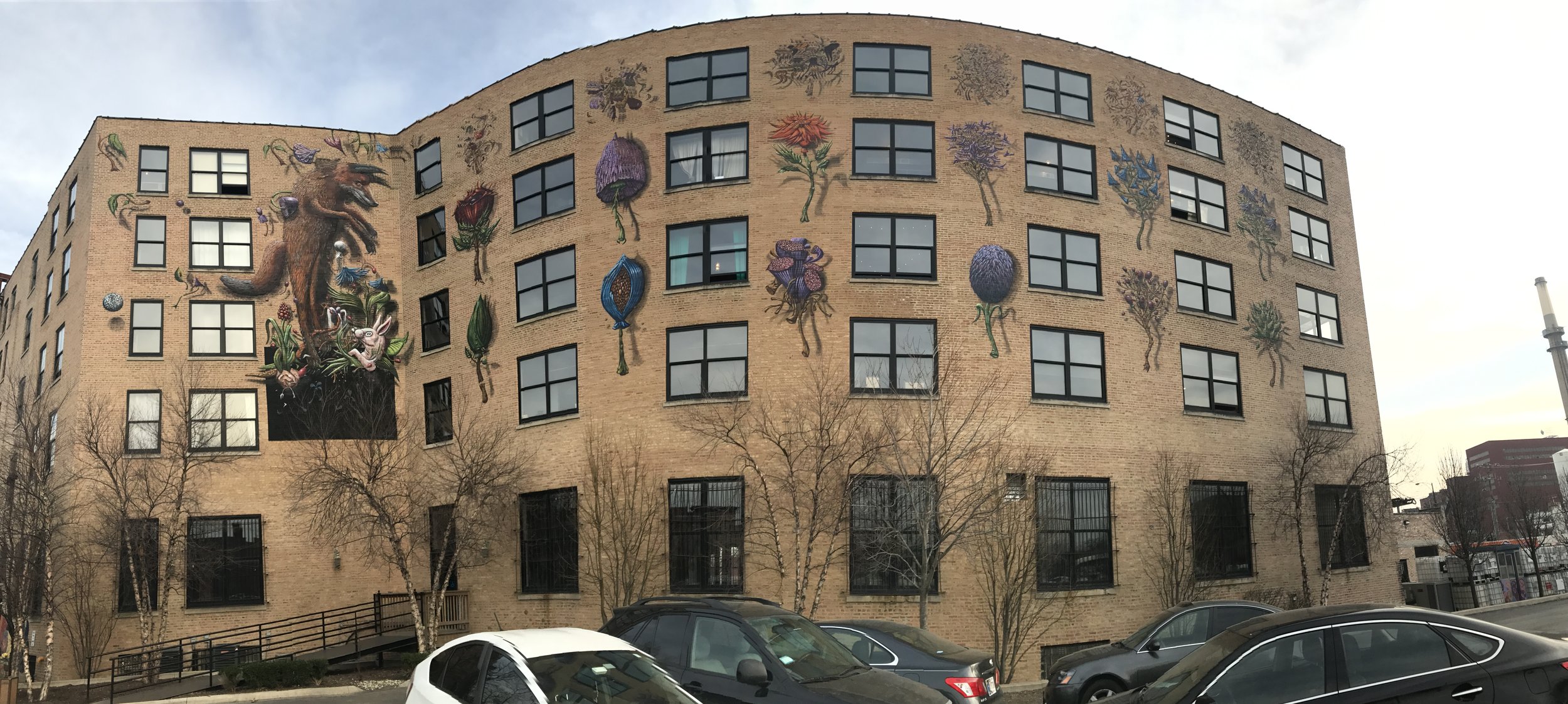  These plants represent the four seasons 