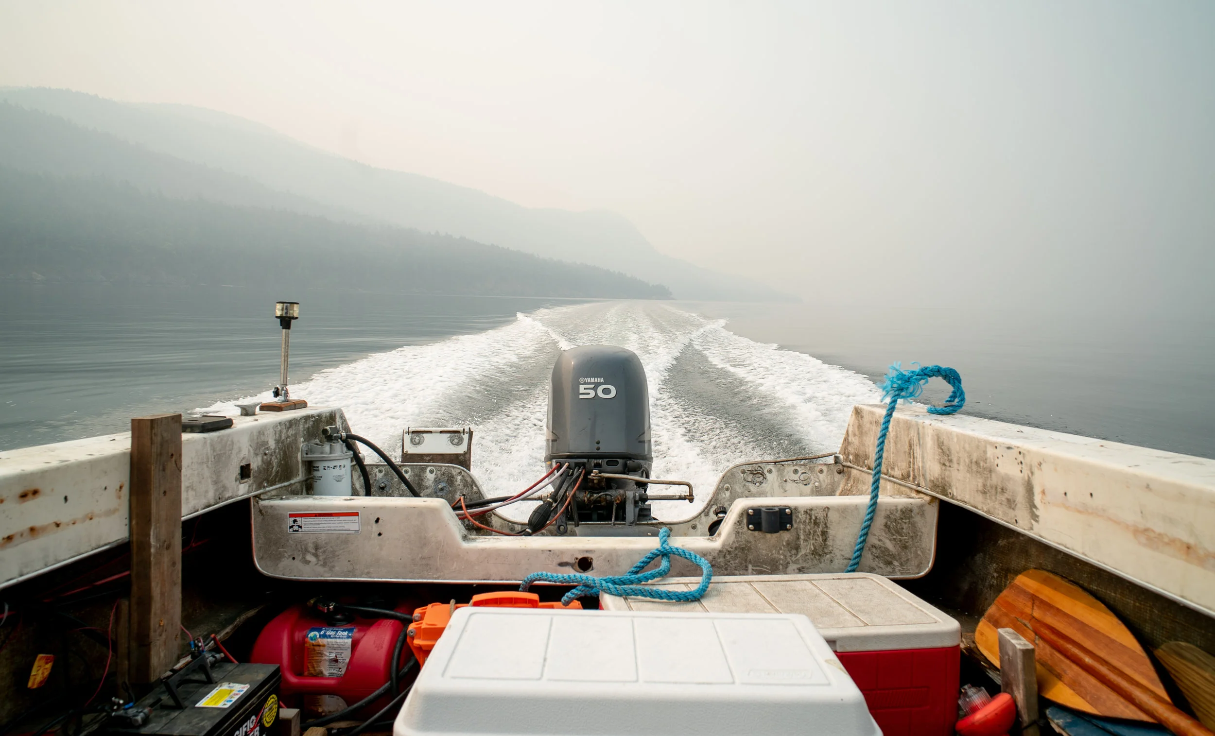 DSC02780.jpg