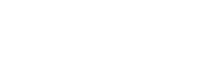 The Dance Experience