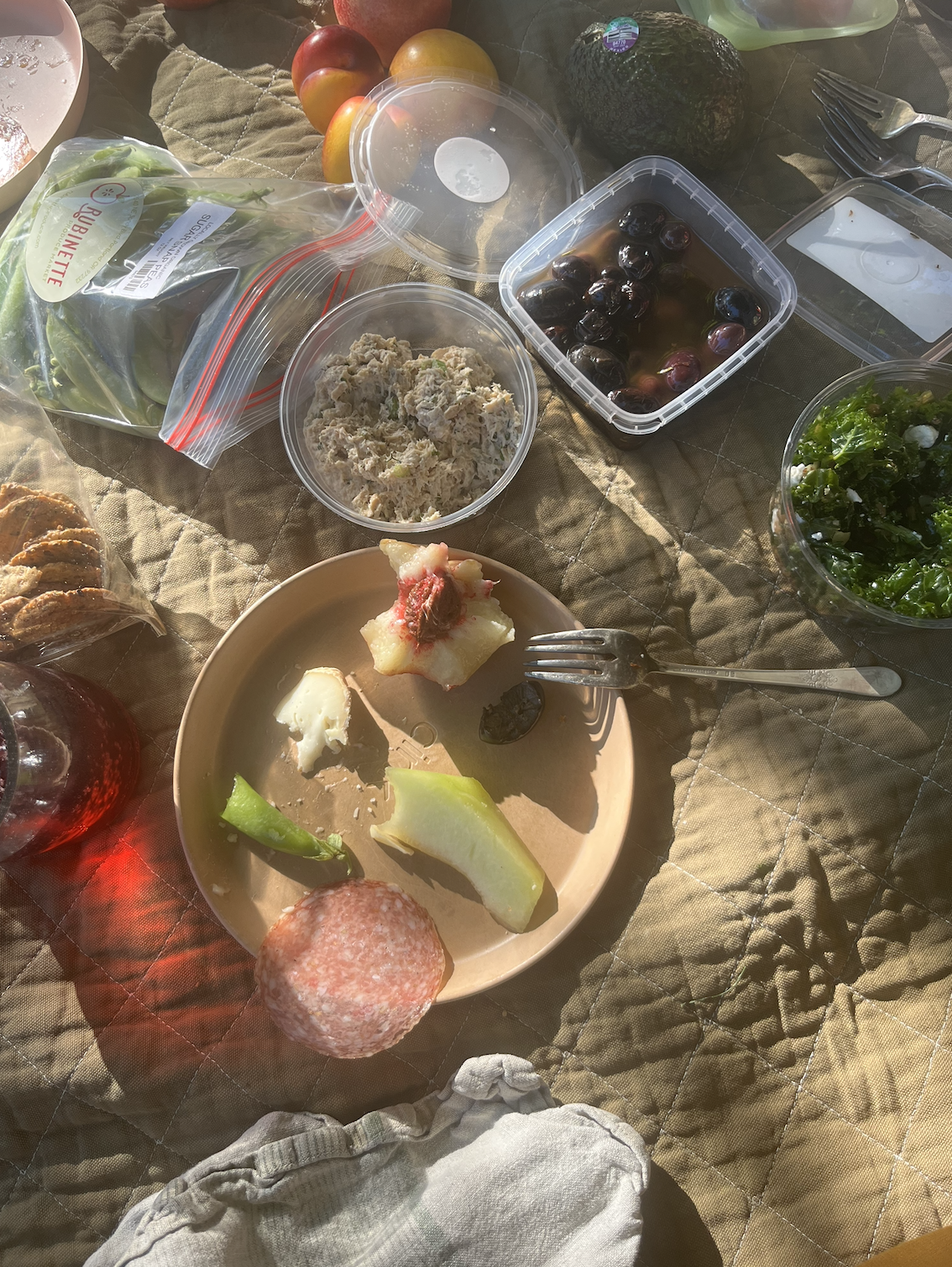 picnic.png