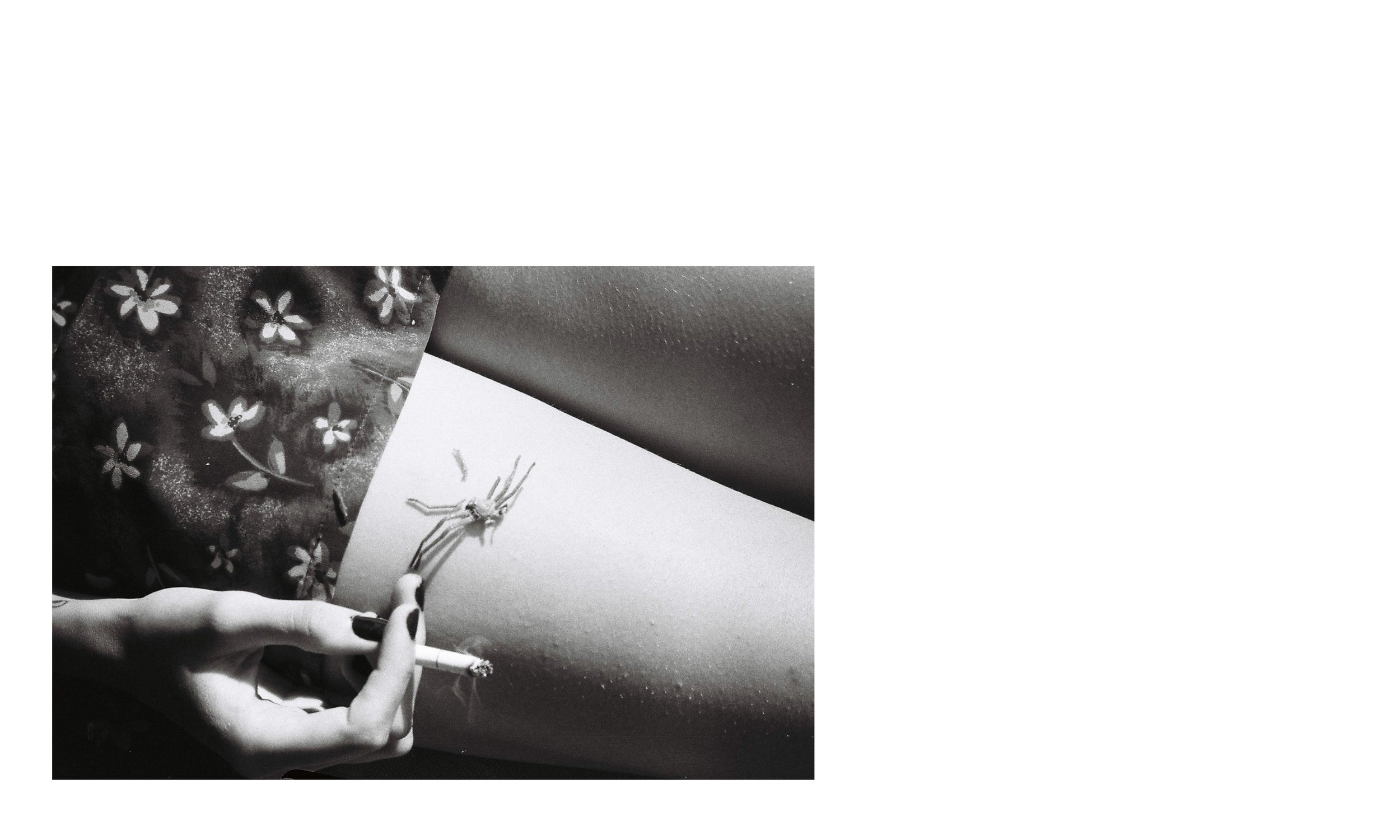 Layout7.jpg