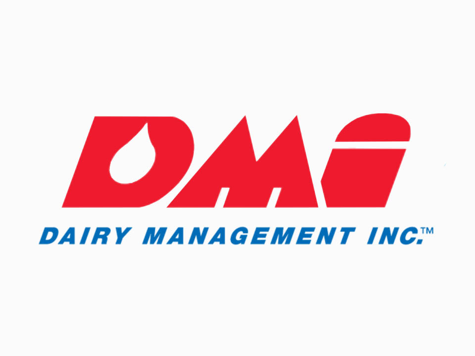 DMI logo.jpg