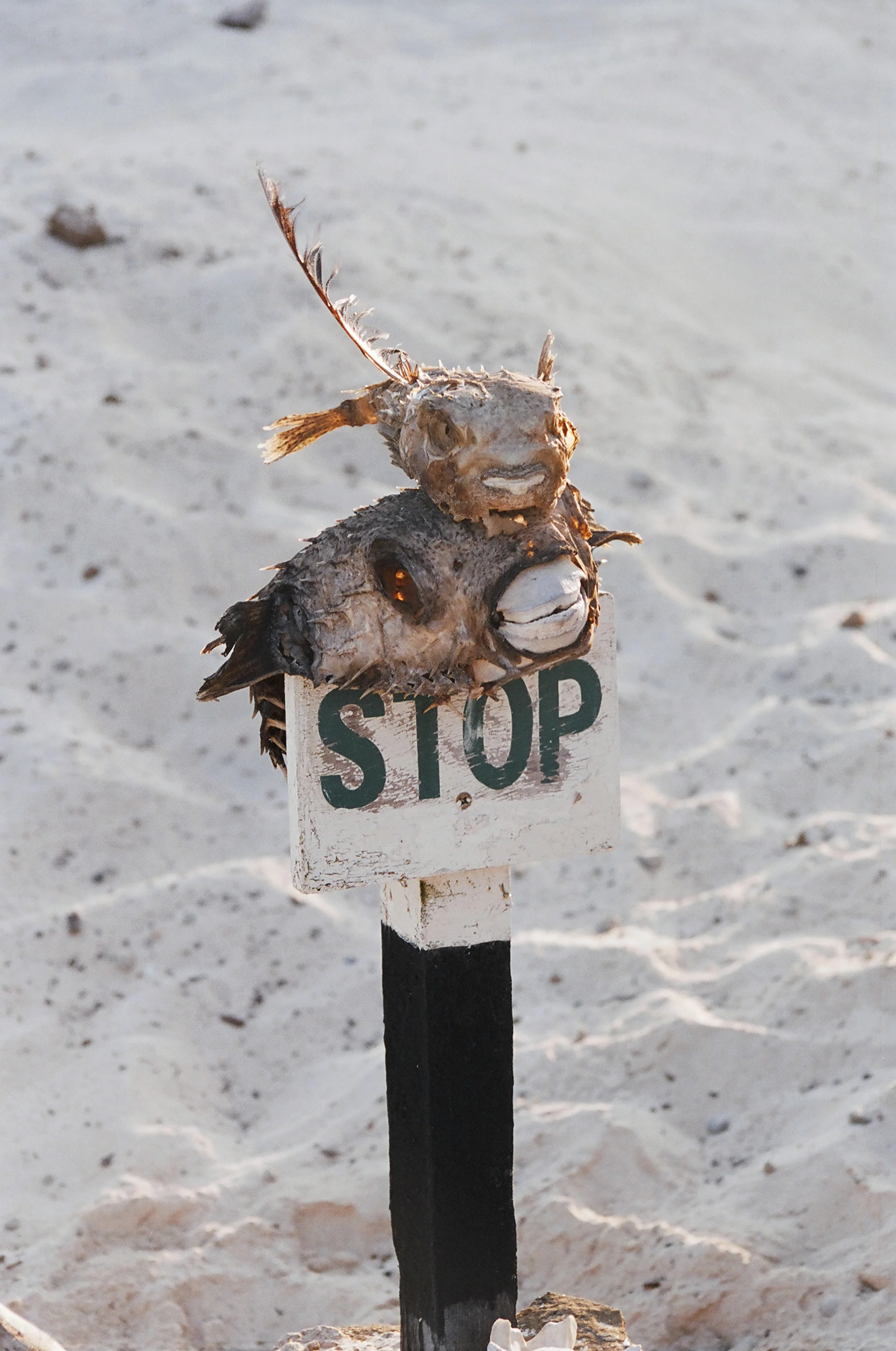 stop.jpg