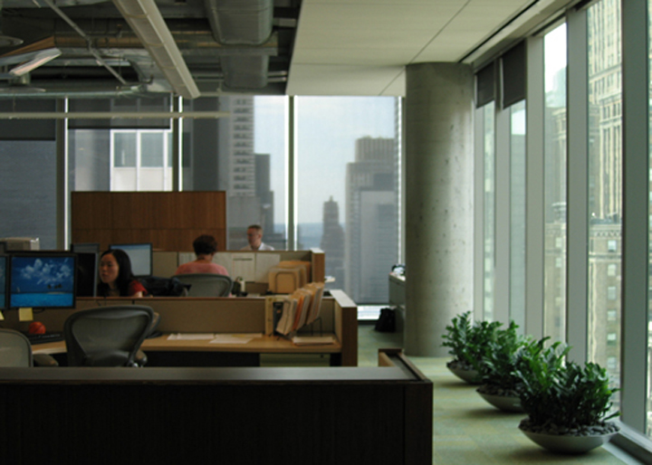 Fir Tree Workspace.JPG