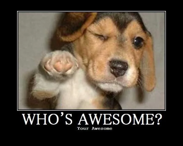 1202958-whos_awesome_puppy.jpg