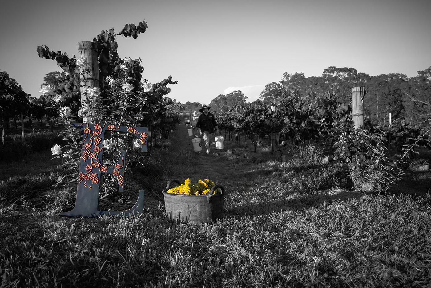 20150125-_WPX0451_w.jpg