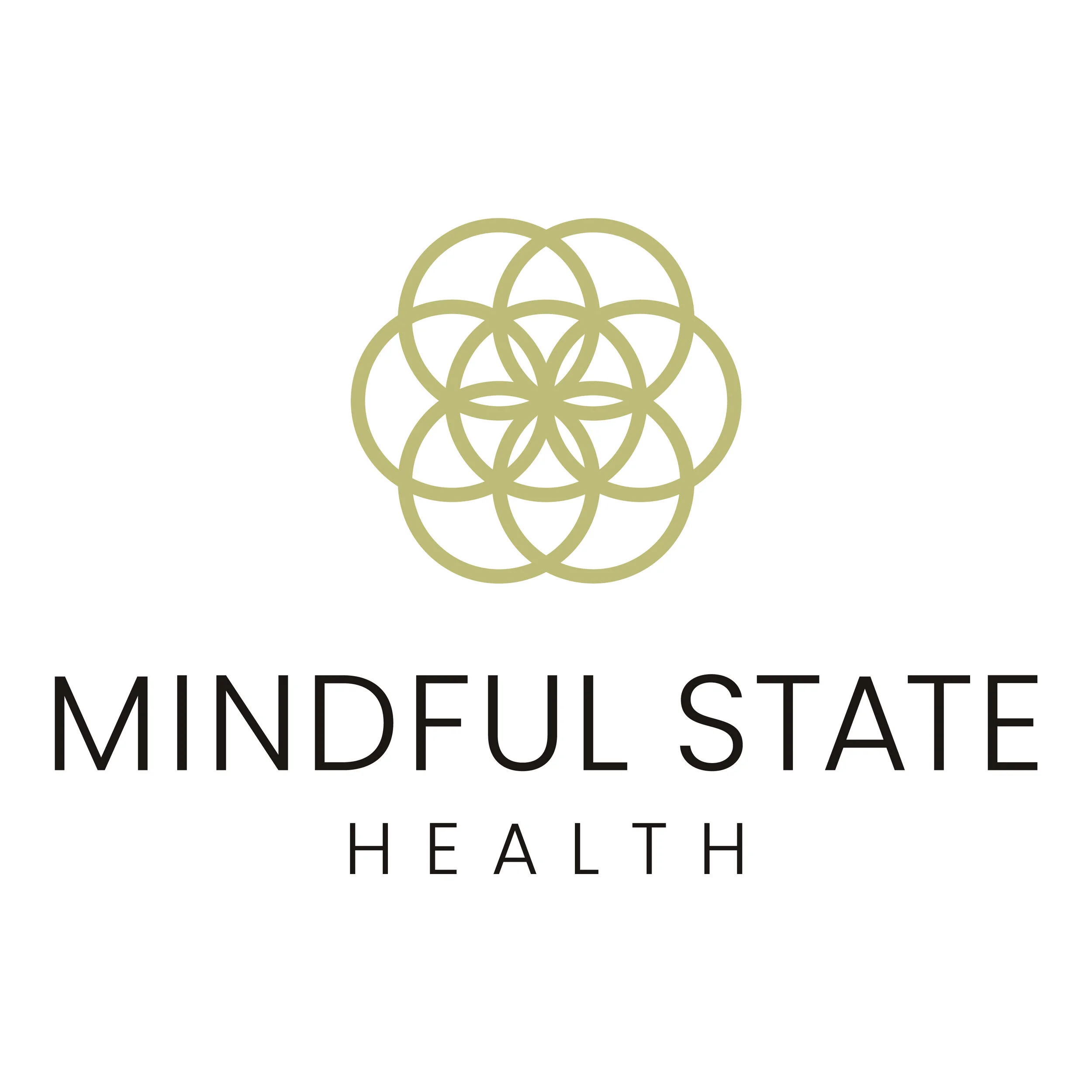 Mindful State Health - Logo Design image-02.jpg