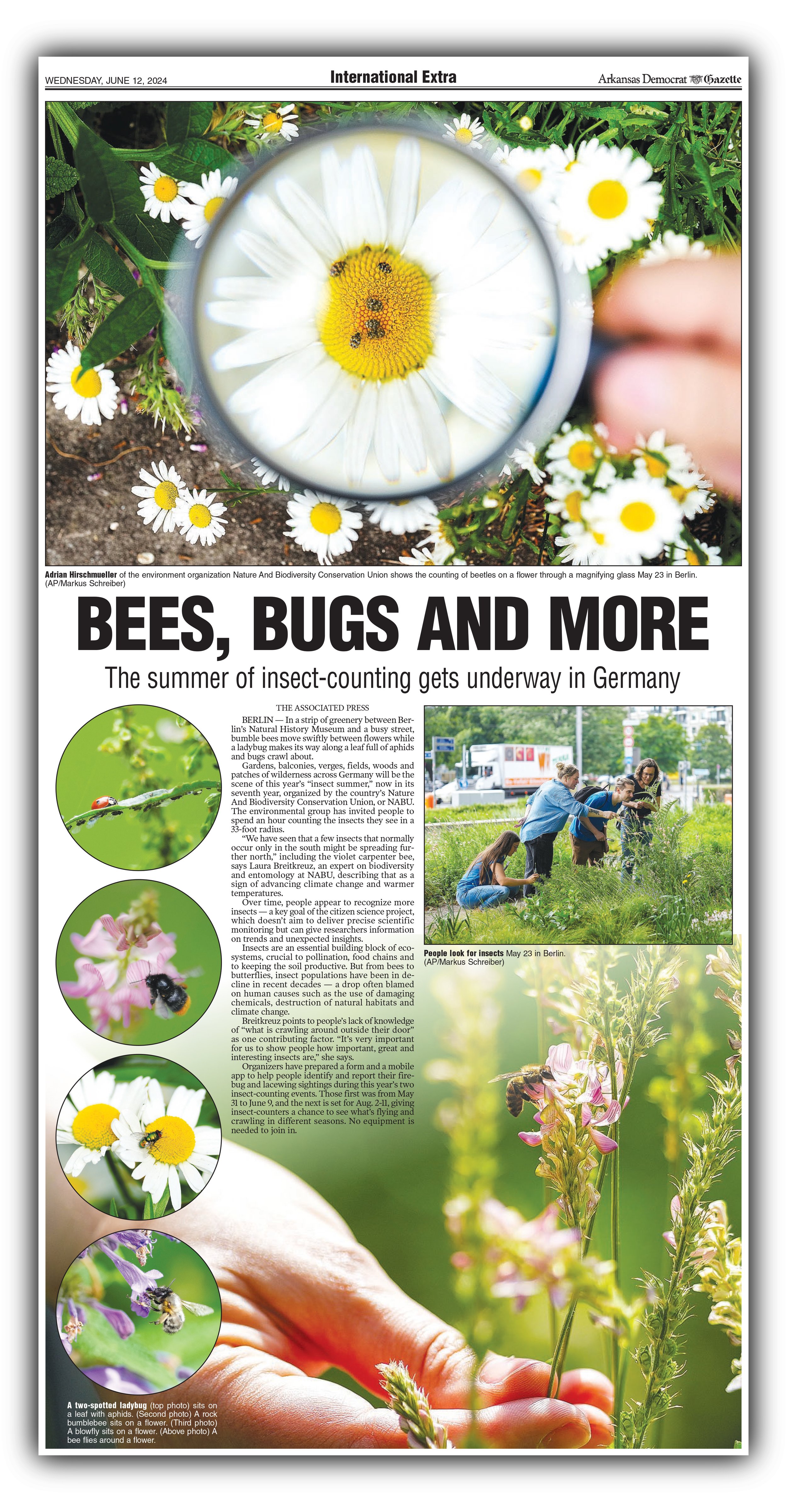 Bees Bugs and more.jpg
