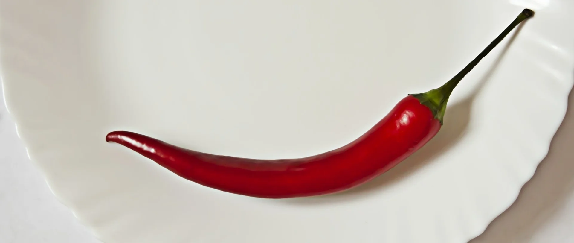 摄图网-一根辣椒在白色盘子里 (1).jpg