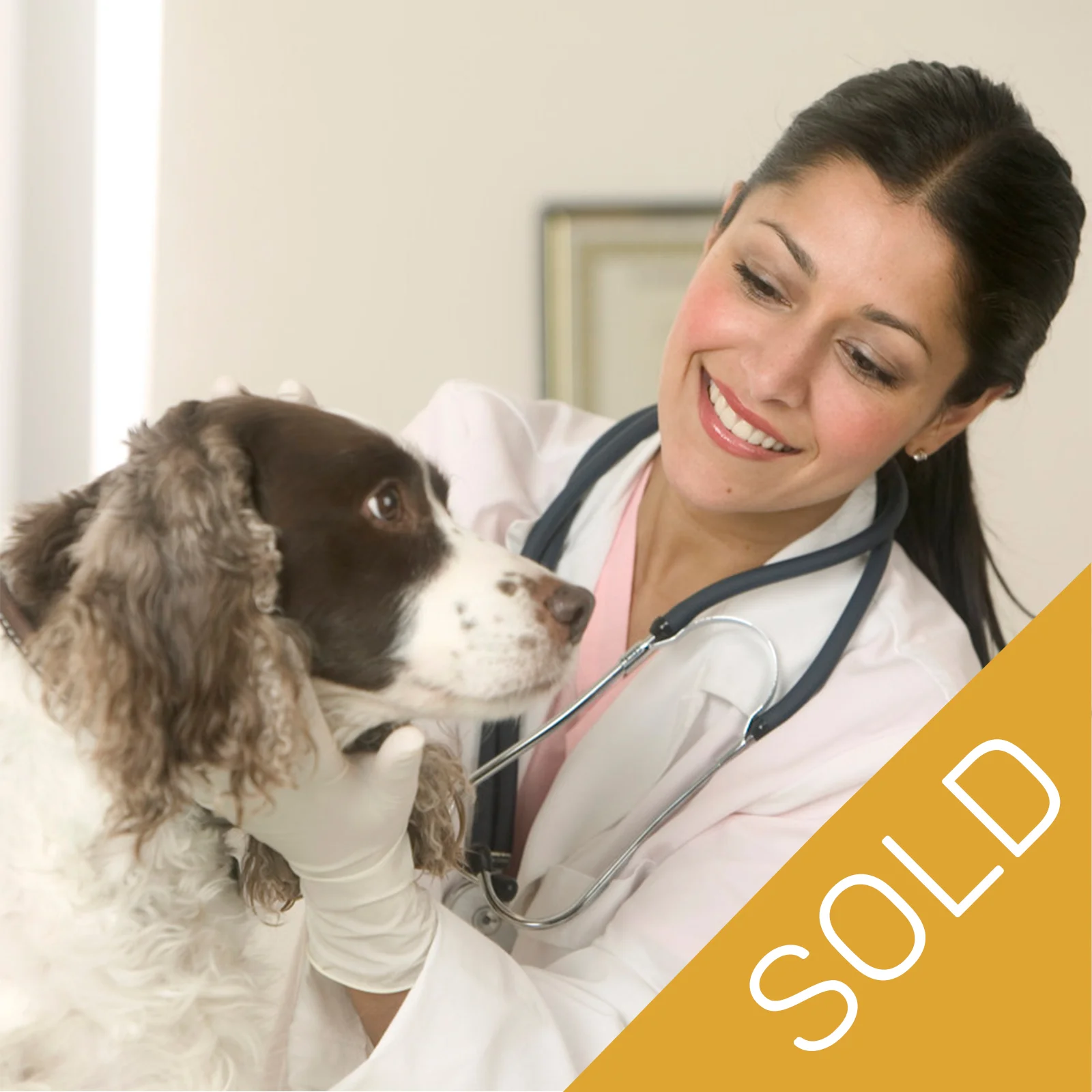 OXFORD COUNTRY VETERINARY - REF.# 1005