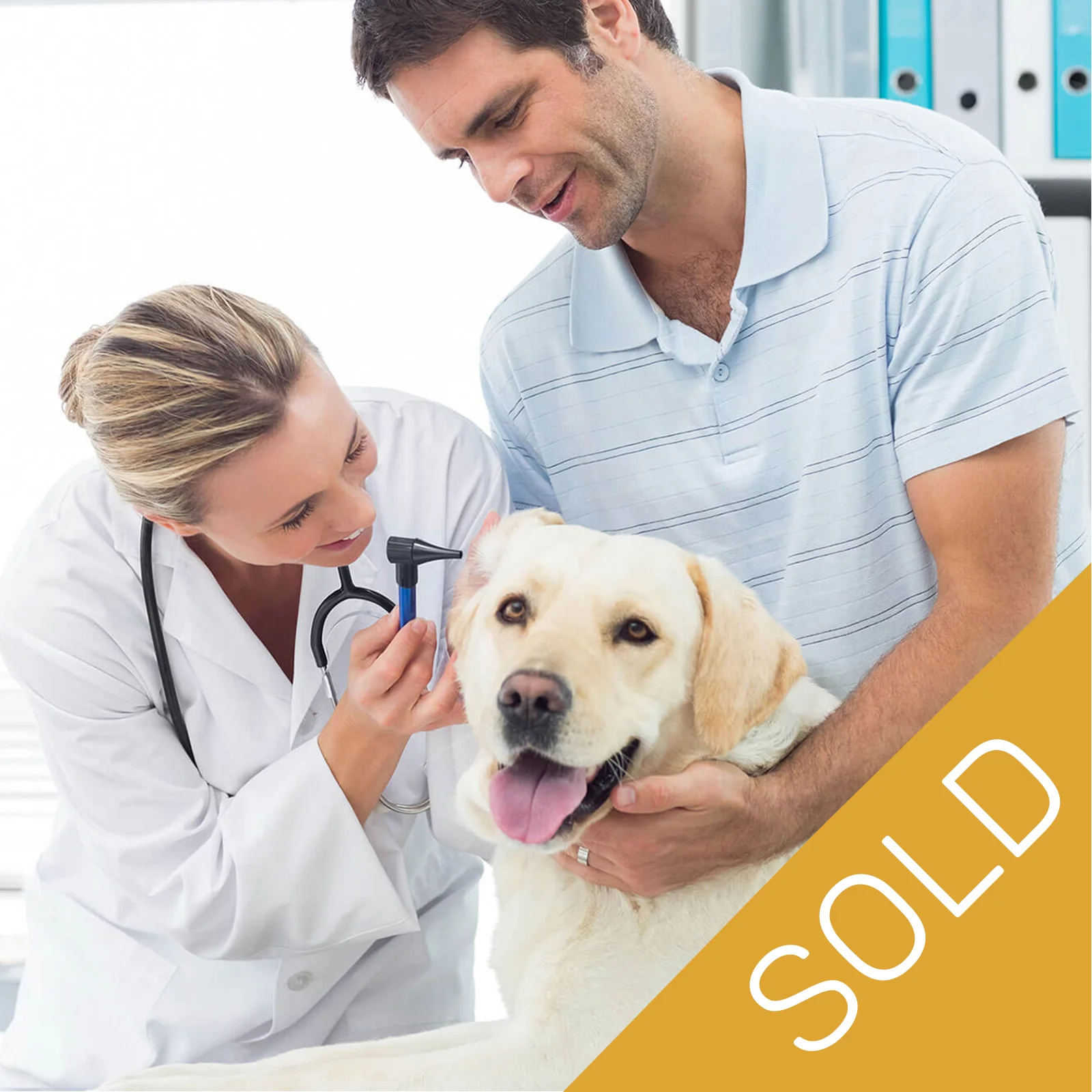 vet_thumb_4_SOLD.jpg