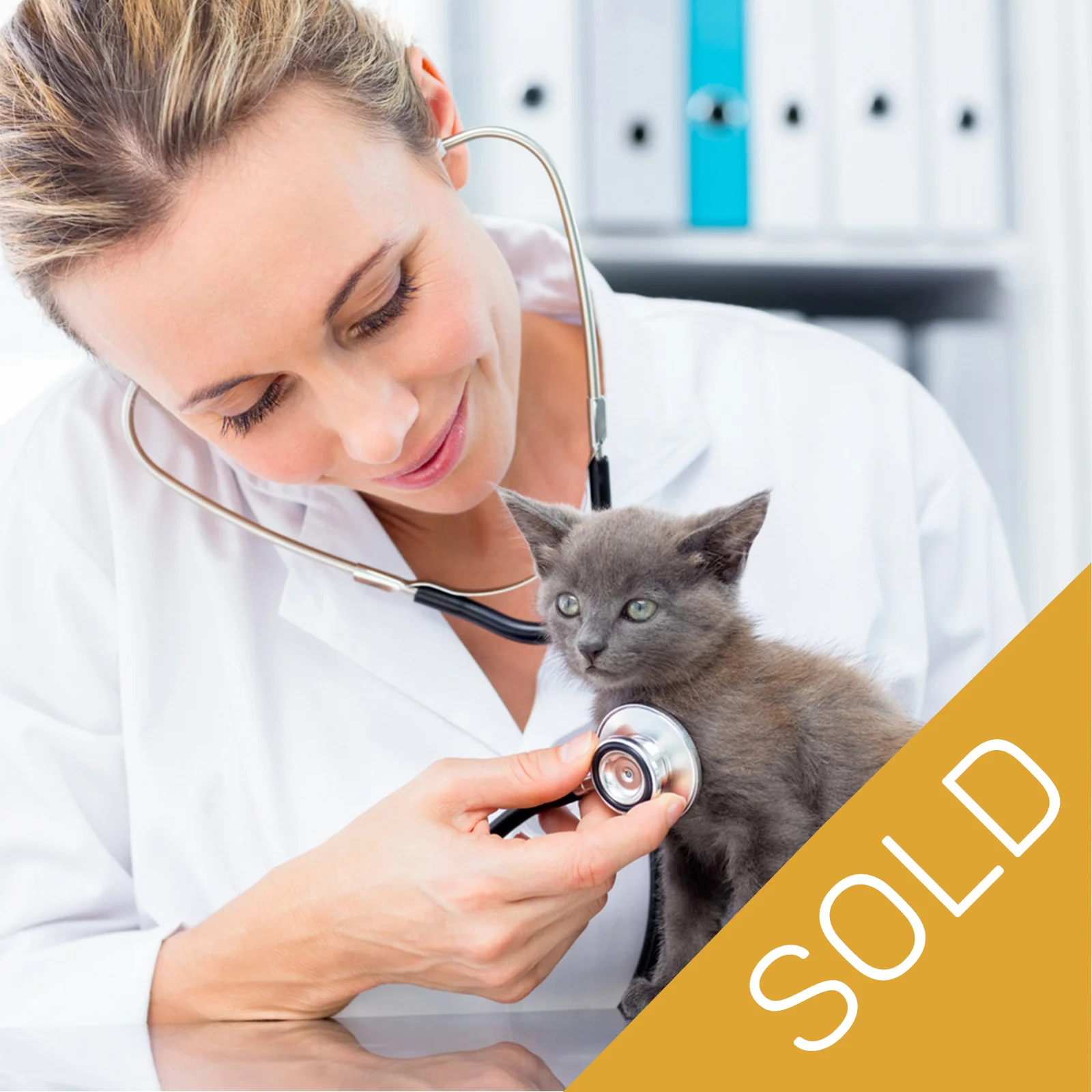 vet_thumb_2_SOLD.jpg