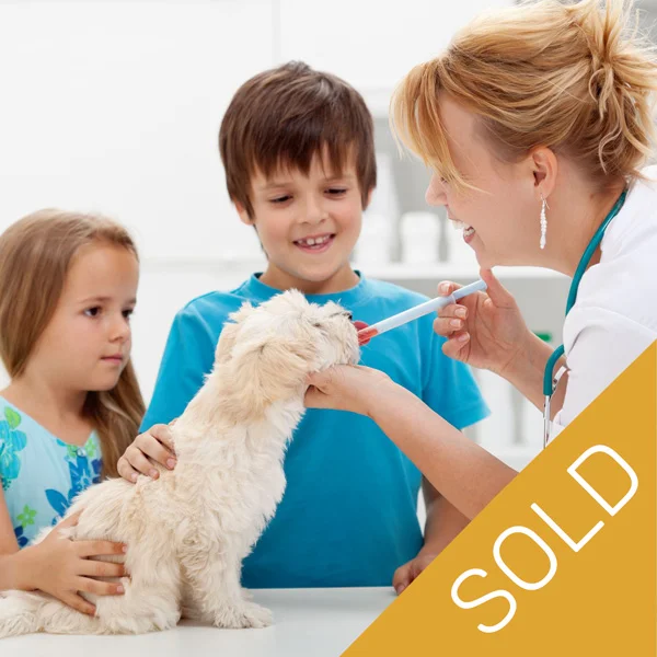 vet_thumb_8_SOLD.jpg