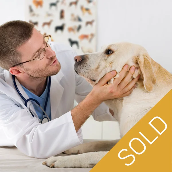 vet_thumb_9_SOLD.jpg