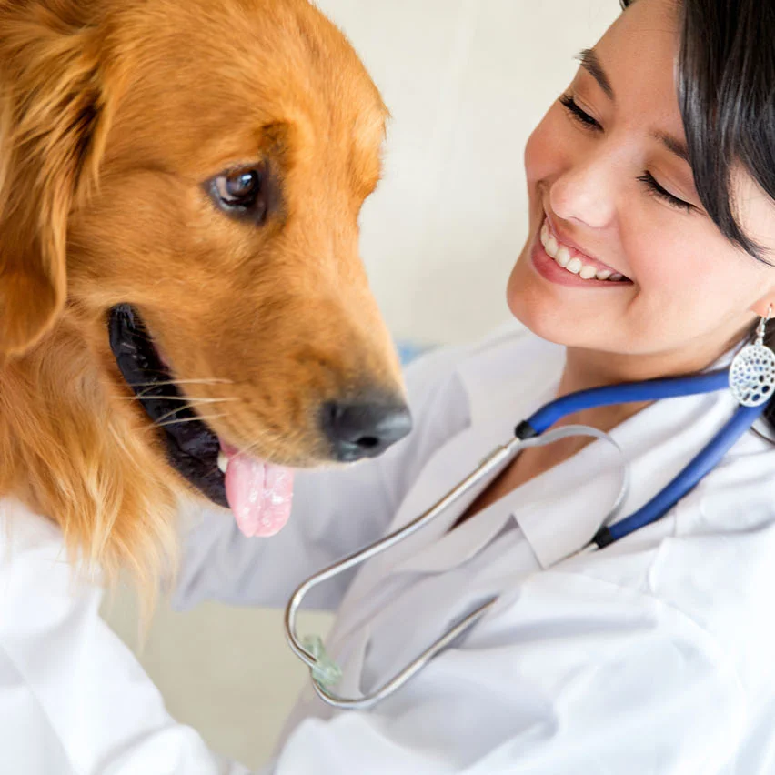 vet_thumb_3_crop.jpg