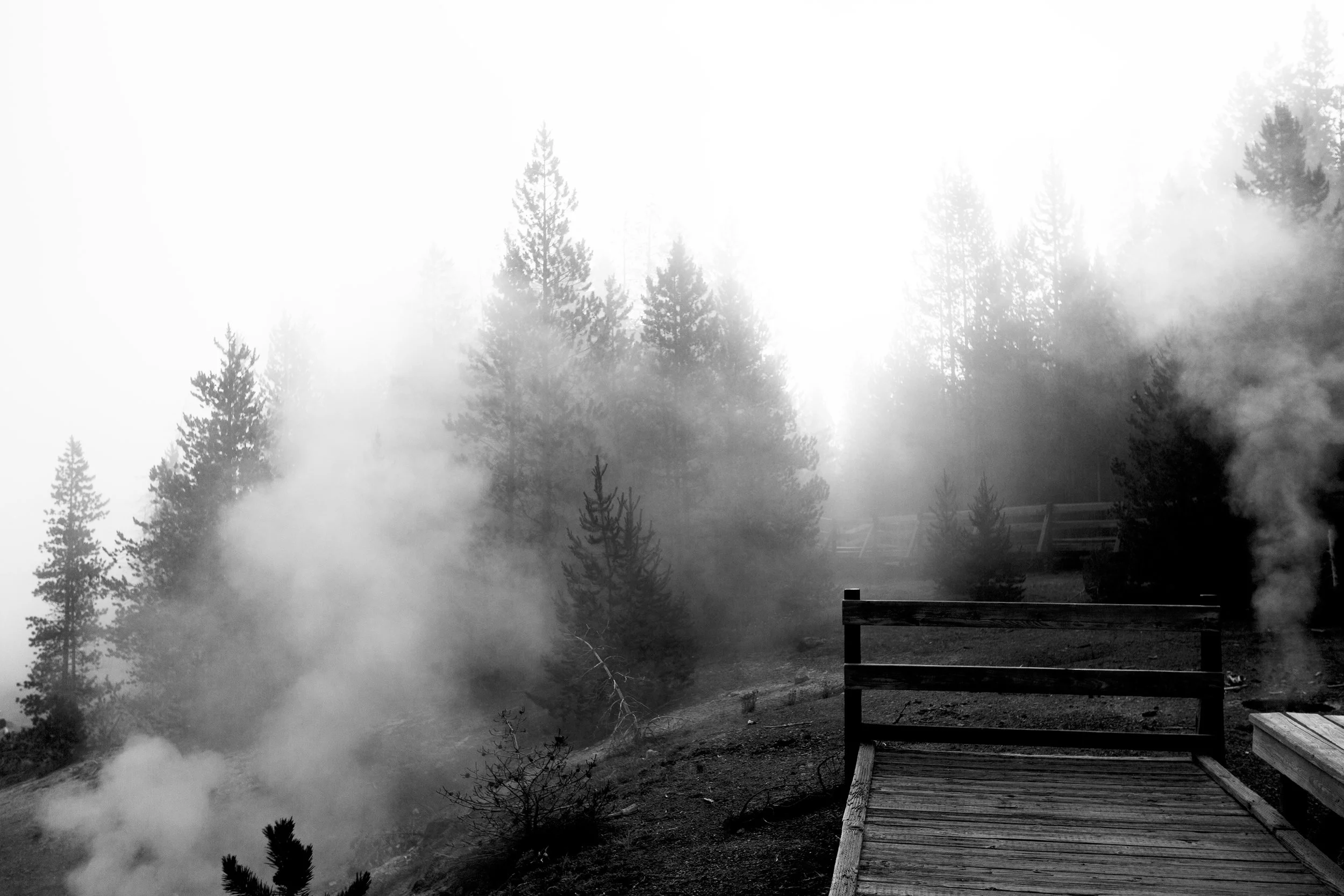 GC and Yellowstone-5 copy.jpg