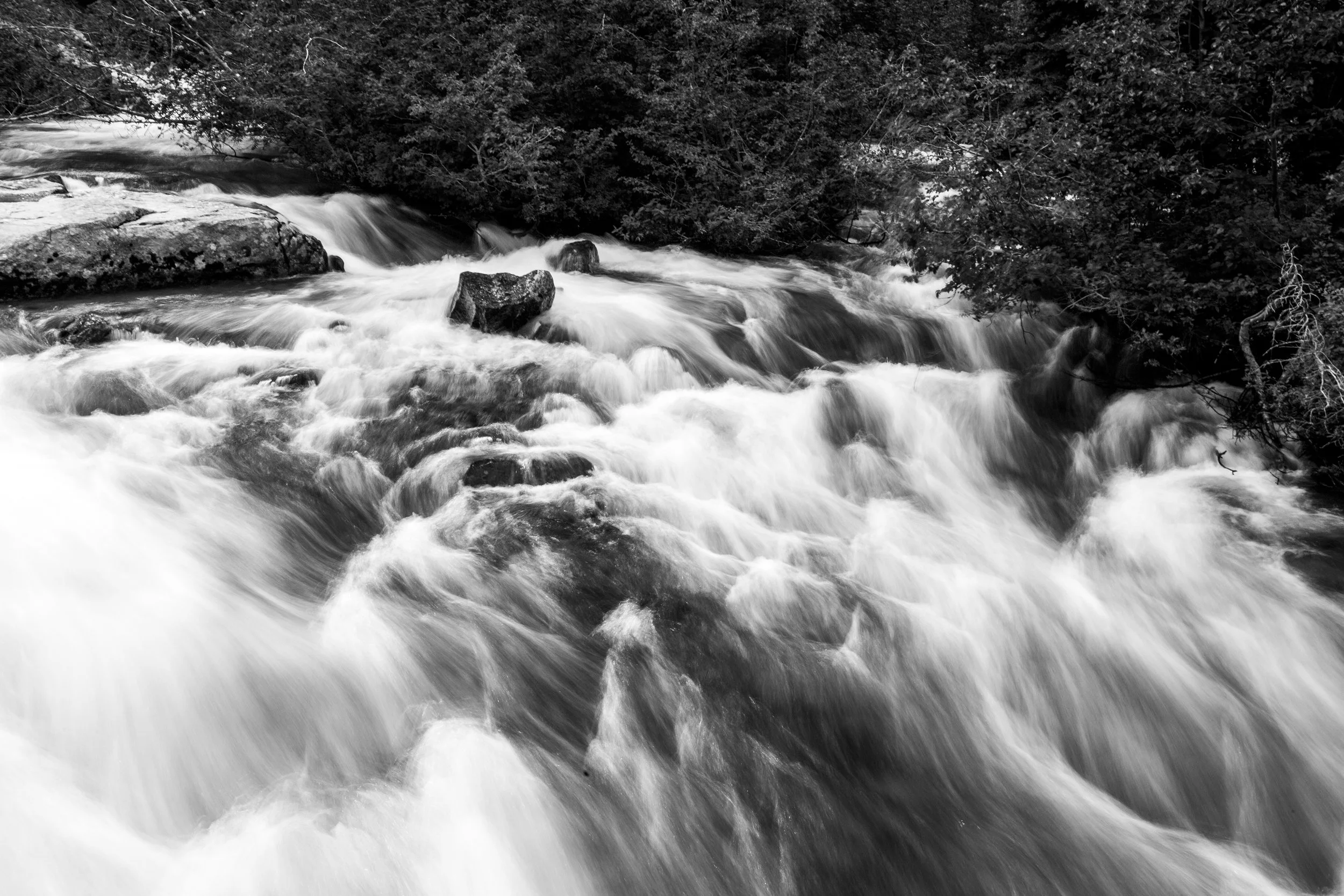 GC and Yellowstone-12-copy.jpg