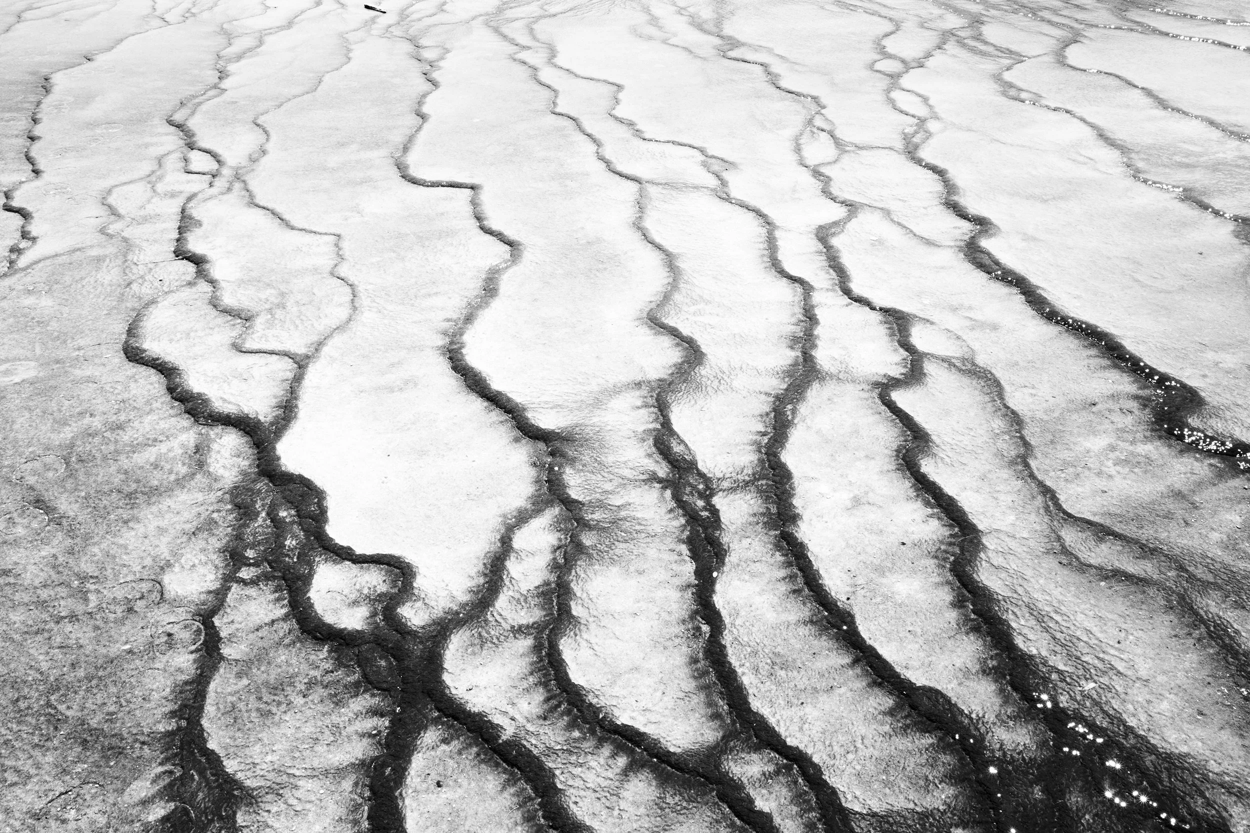 GC and Yellowstone-1-copy.jpg