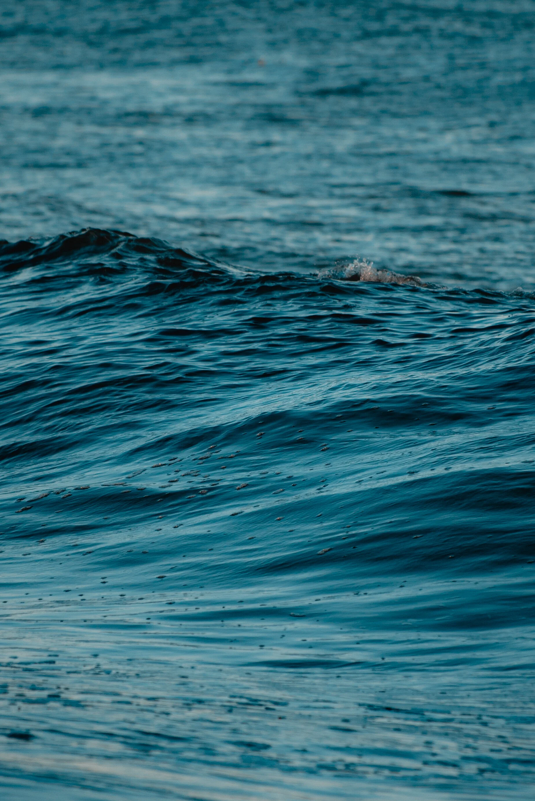 Business Development Coaching for Lawyers