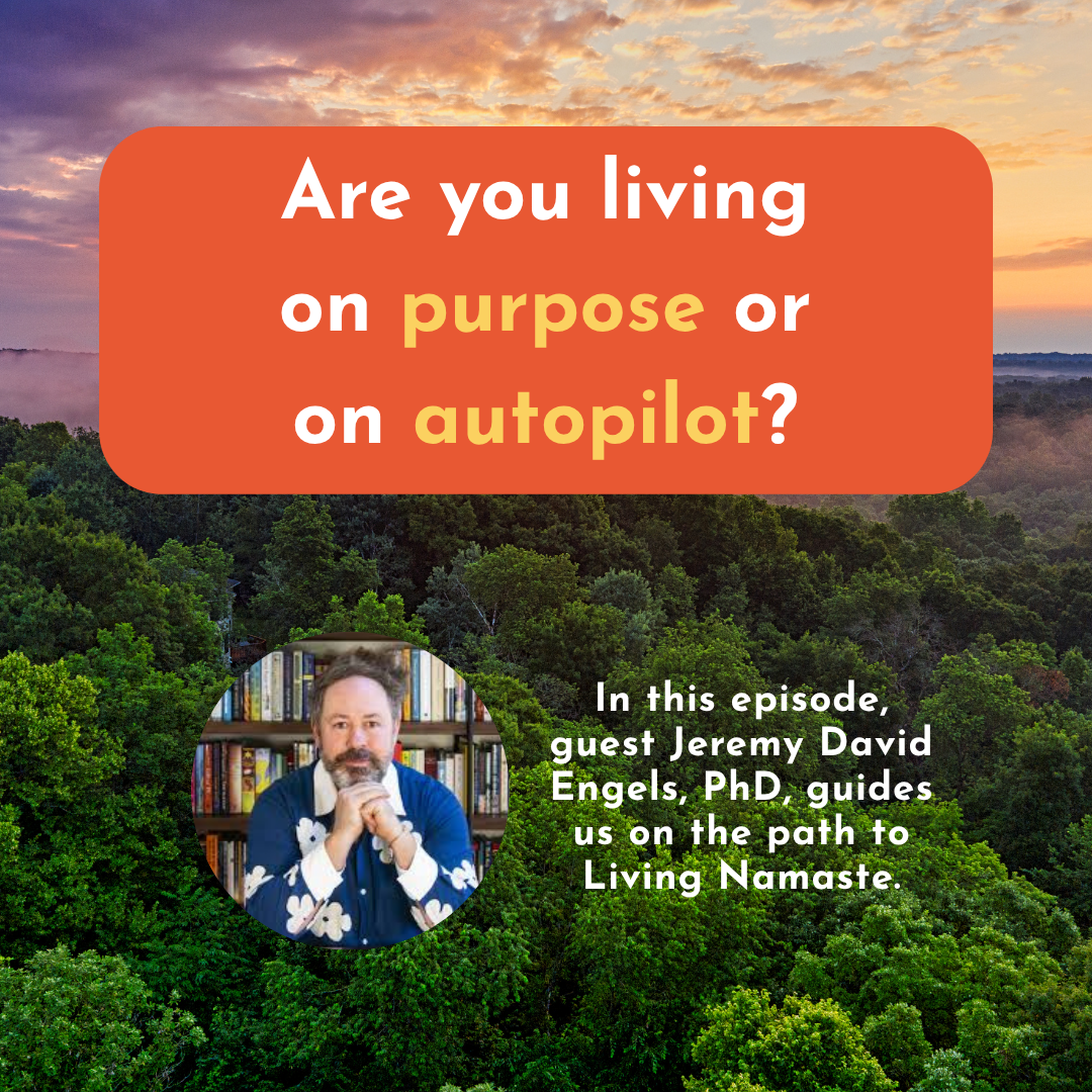 Season 2, Episode 4 - The Inner Work of Inclusion: Yoga Philosophy for Thriving Workplaces with Jeremy David Engels, PhD
