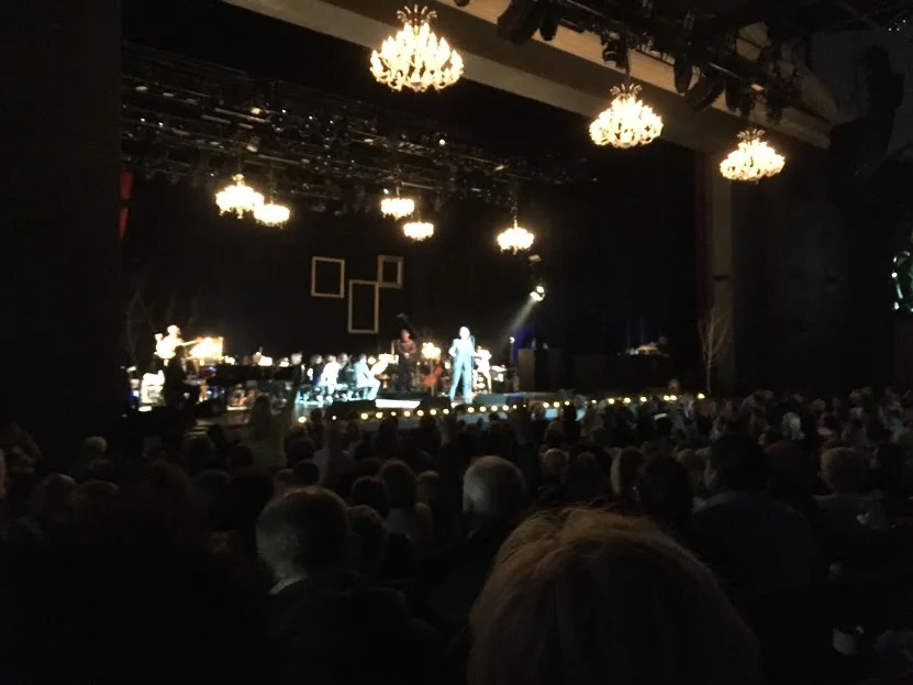 It's a terrible photo, but this is how close we ended up sitting. Who do I thank for this?