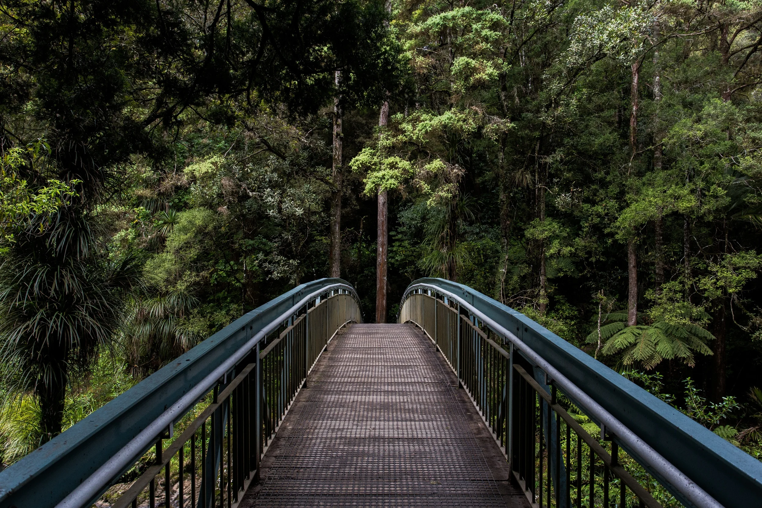 Bridge.jpg