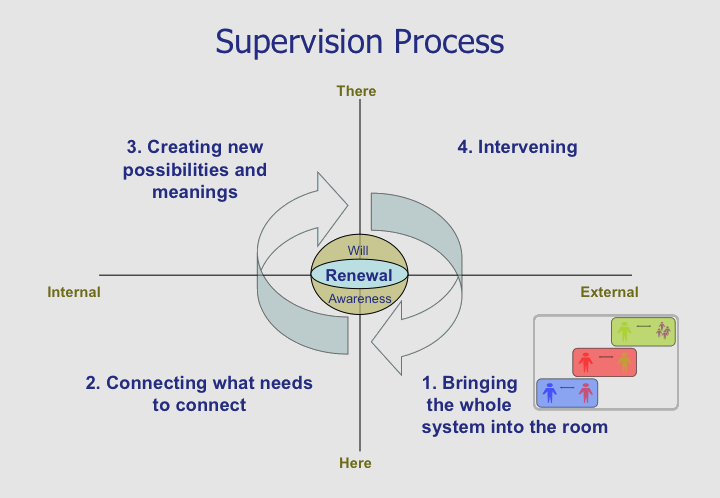 supervision_process.gif