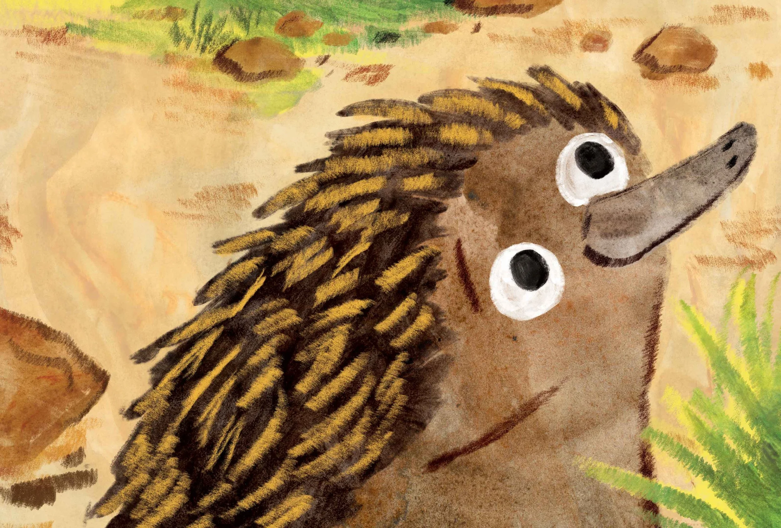 echidna_V2_CJH.jpg