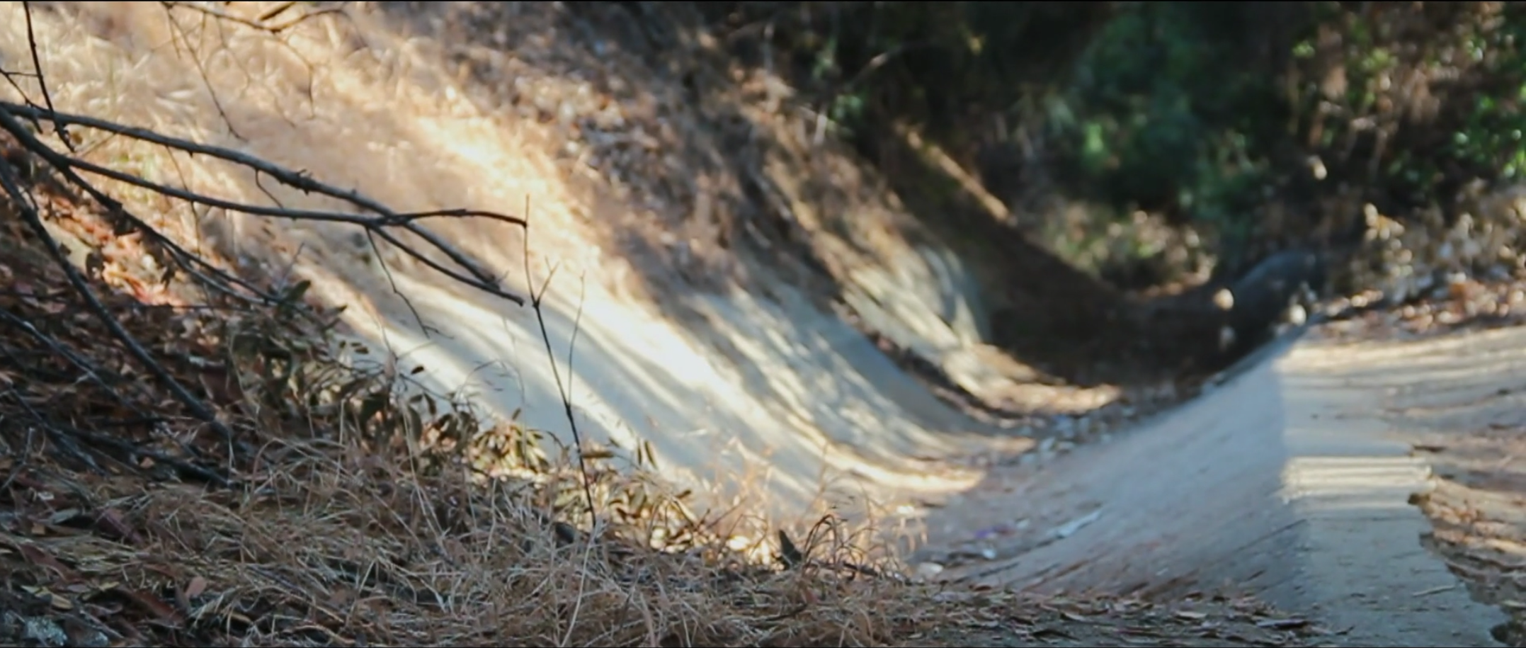 A Review Of The Horror Movie The Purgation From Someone Who S