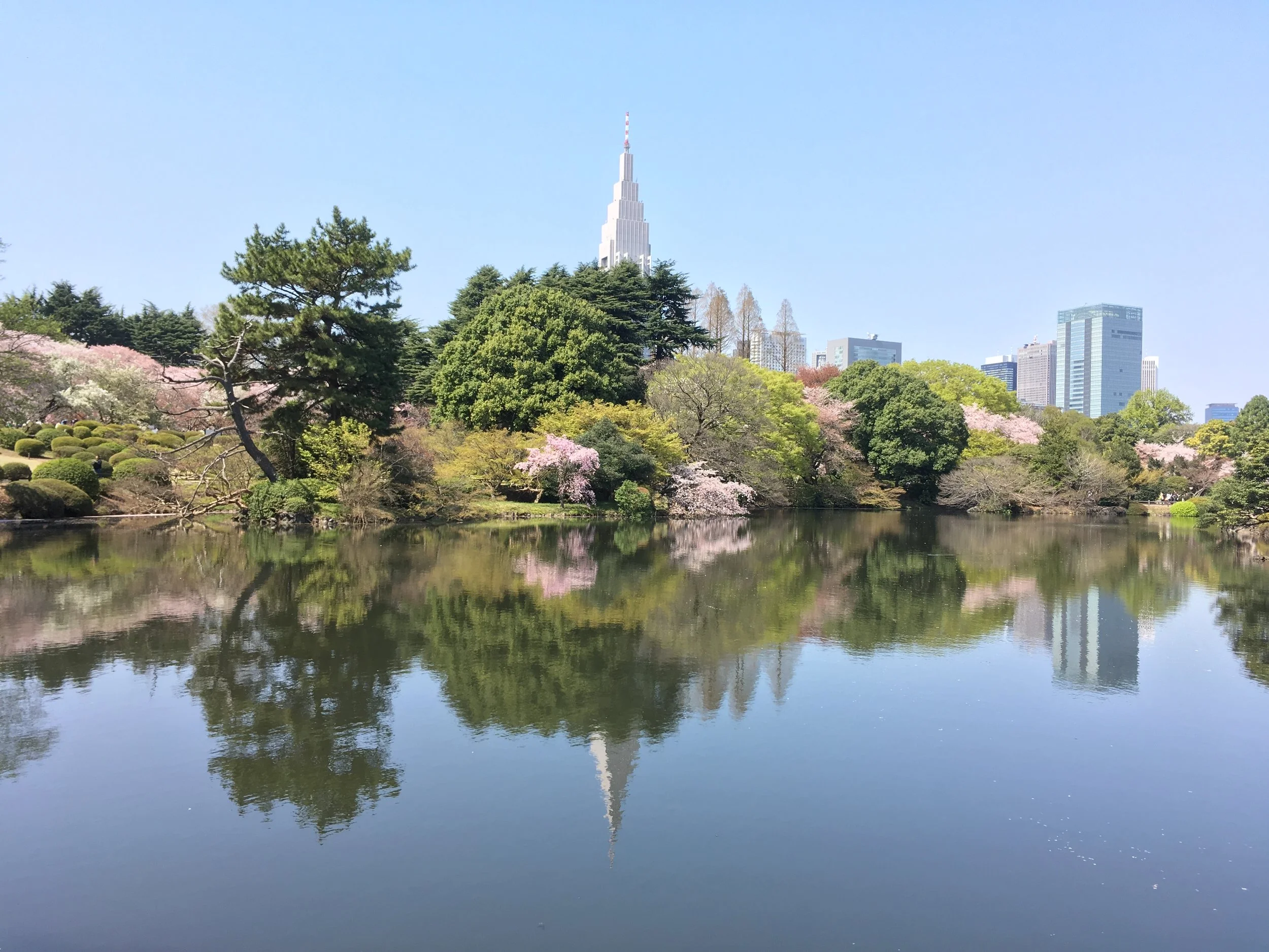 A year half-full: reflections during my first six months in Tokyo