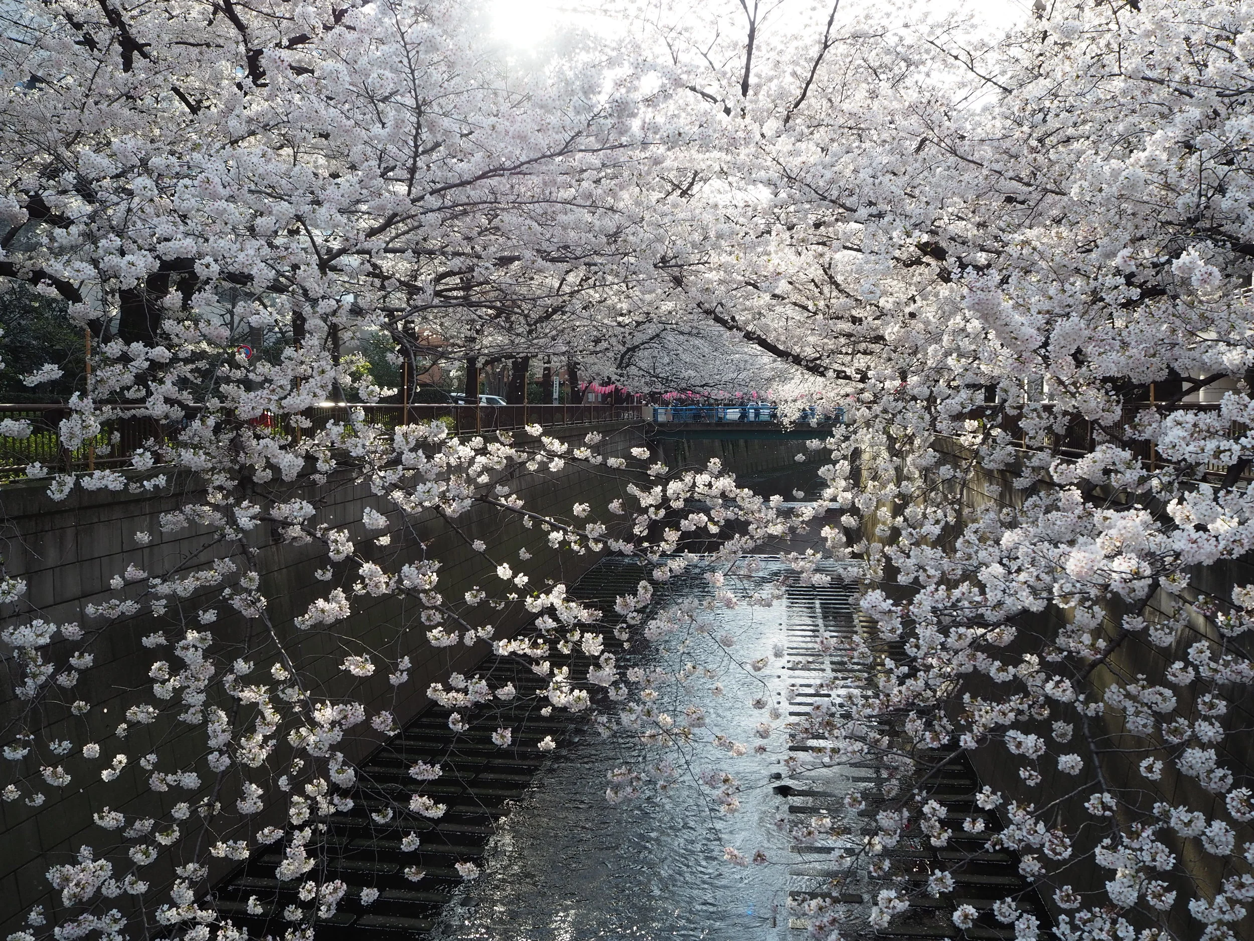 Japan - OYL (592).JPG