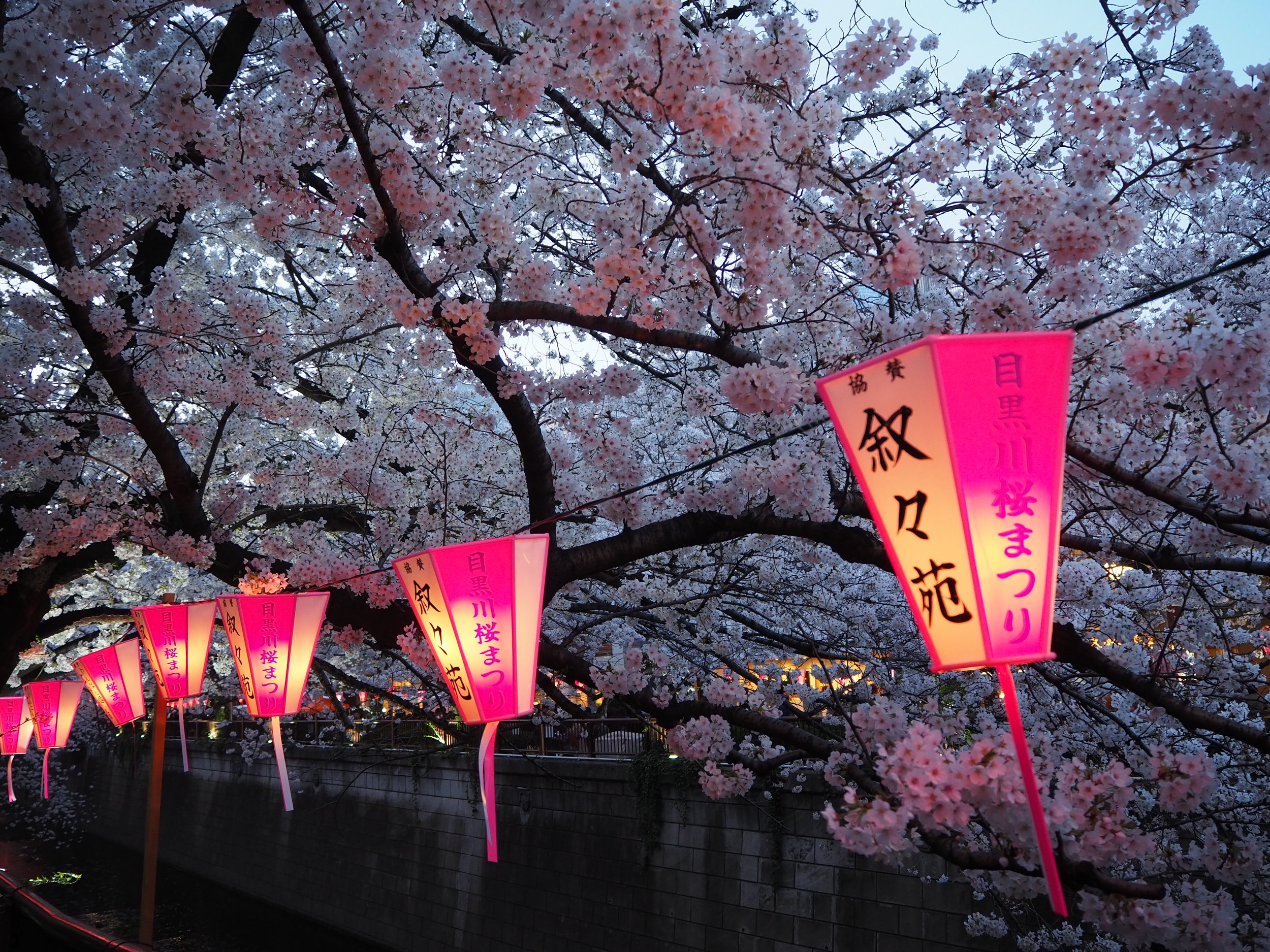 Japan - OYL (667).JPG