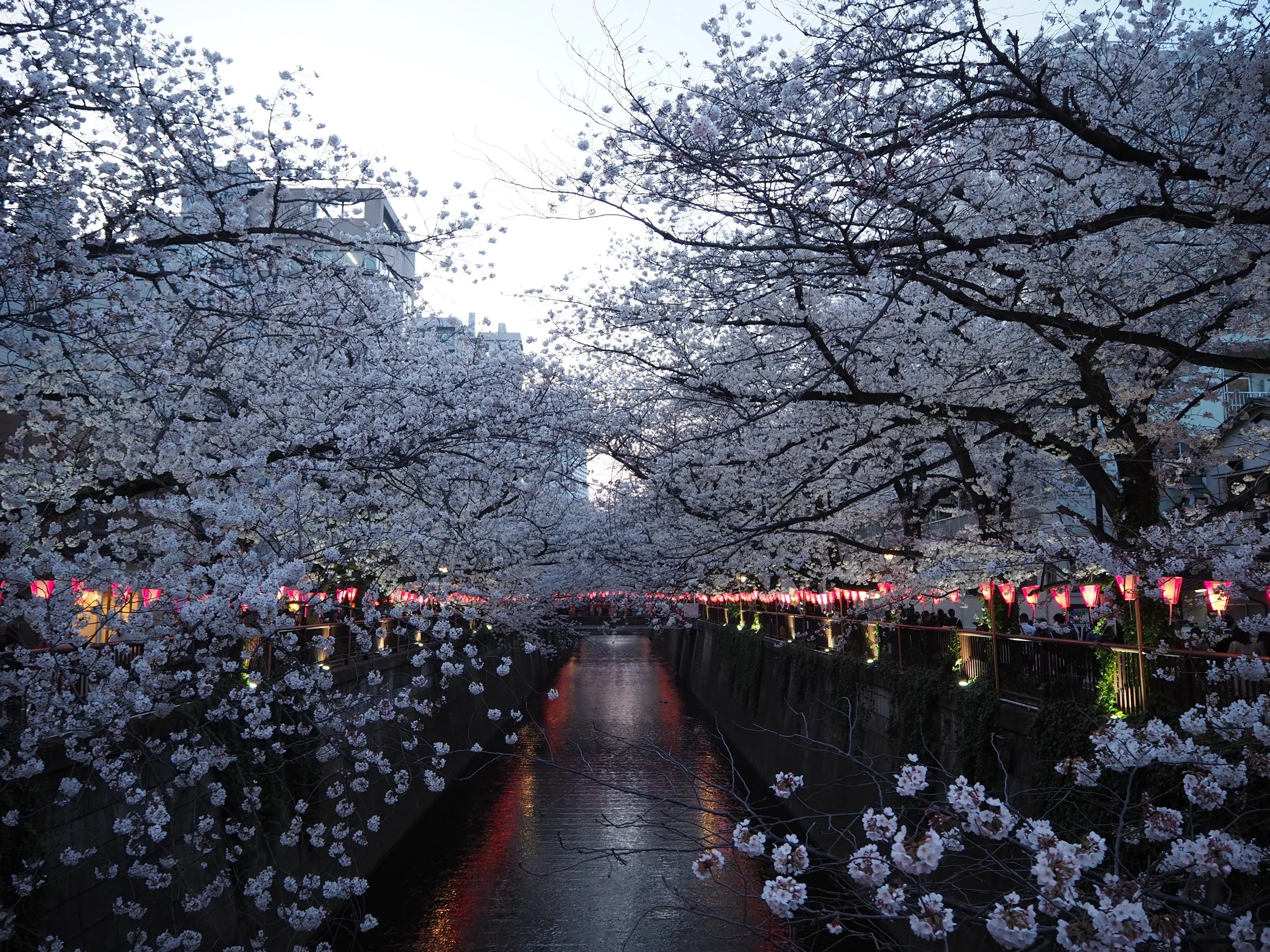 Japan - OYL (668).JPG