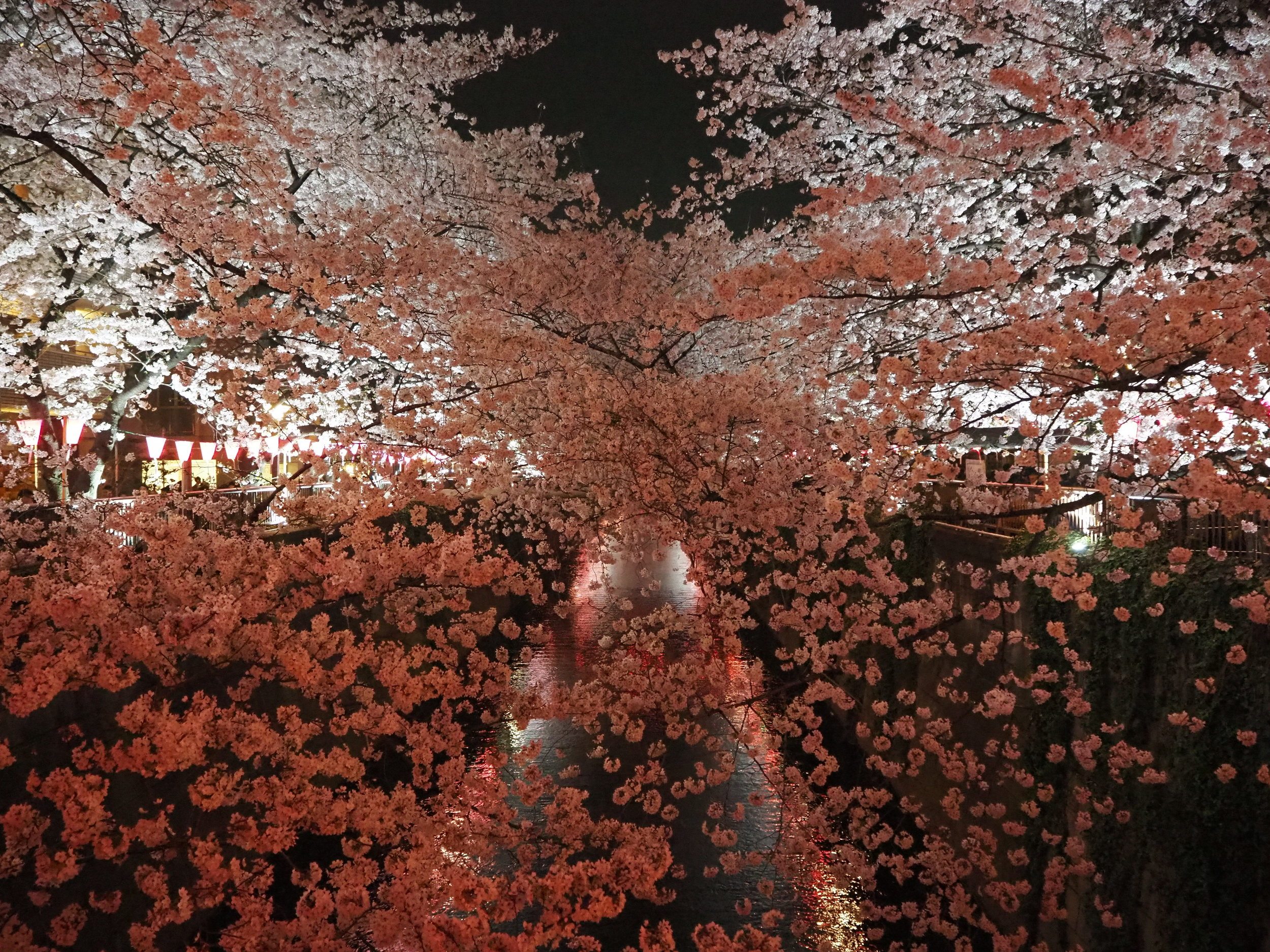 P3270031.JPG