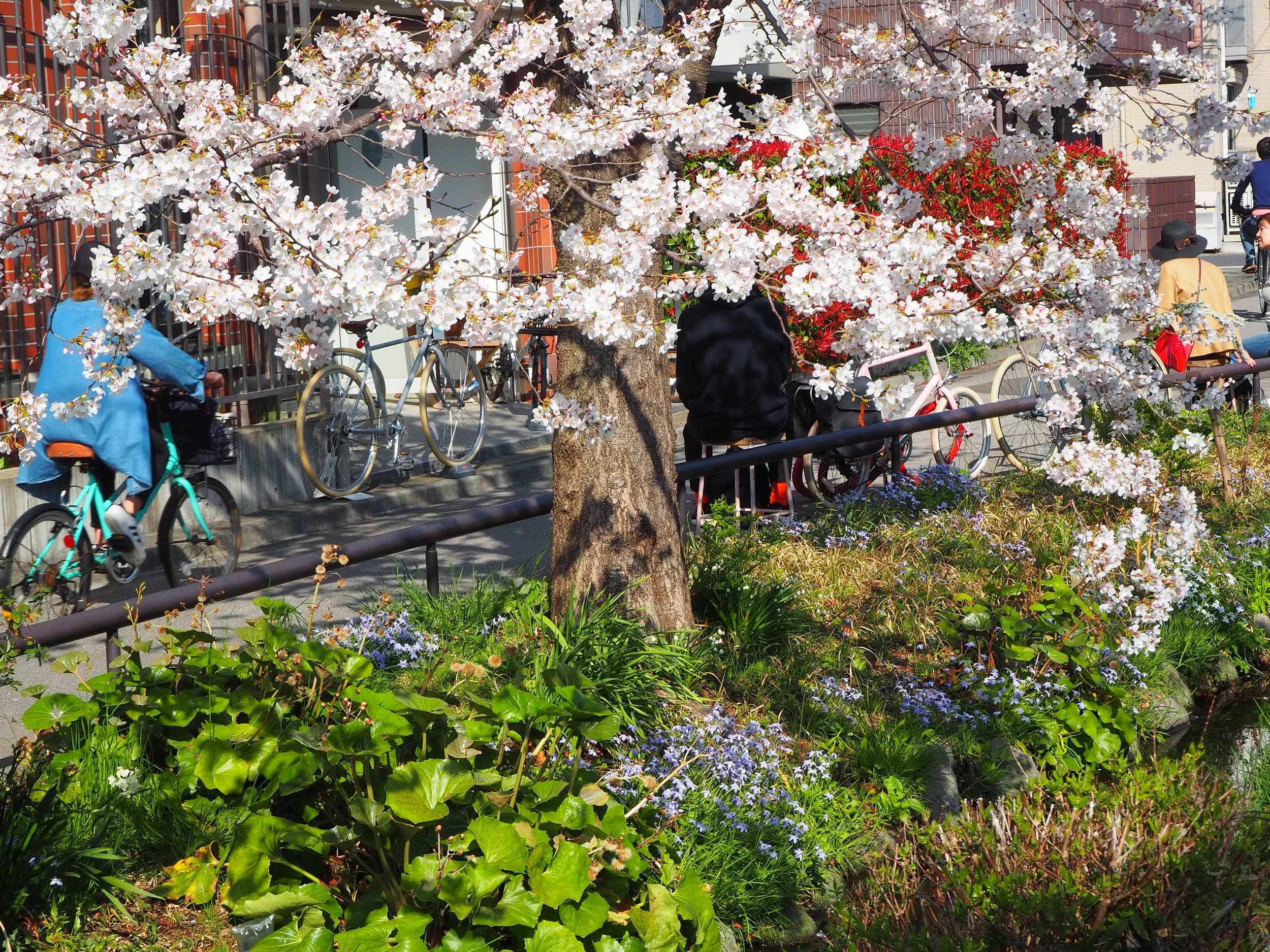 Japan - OYL (369).JPG