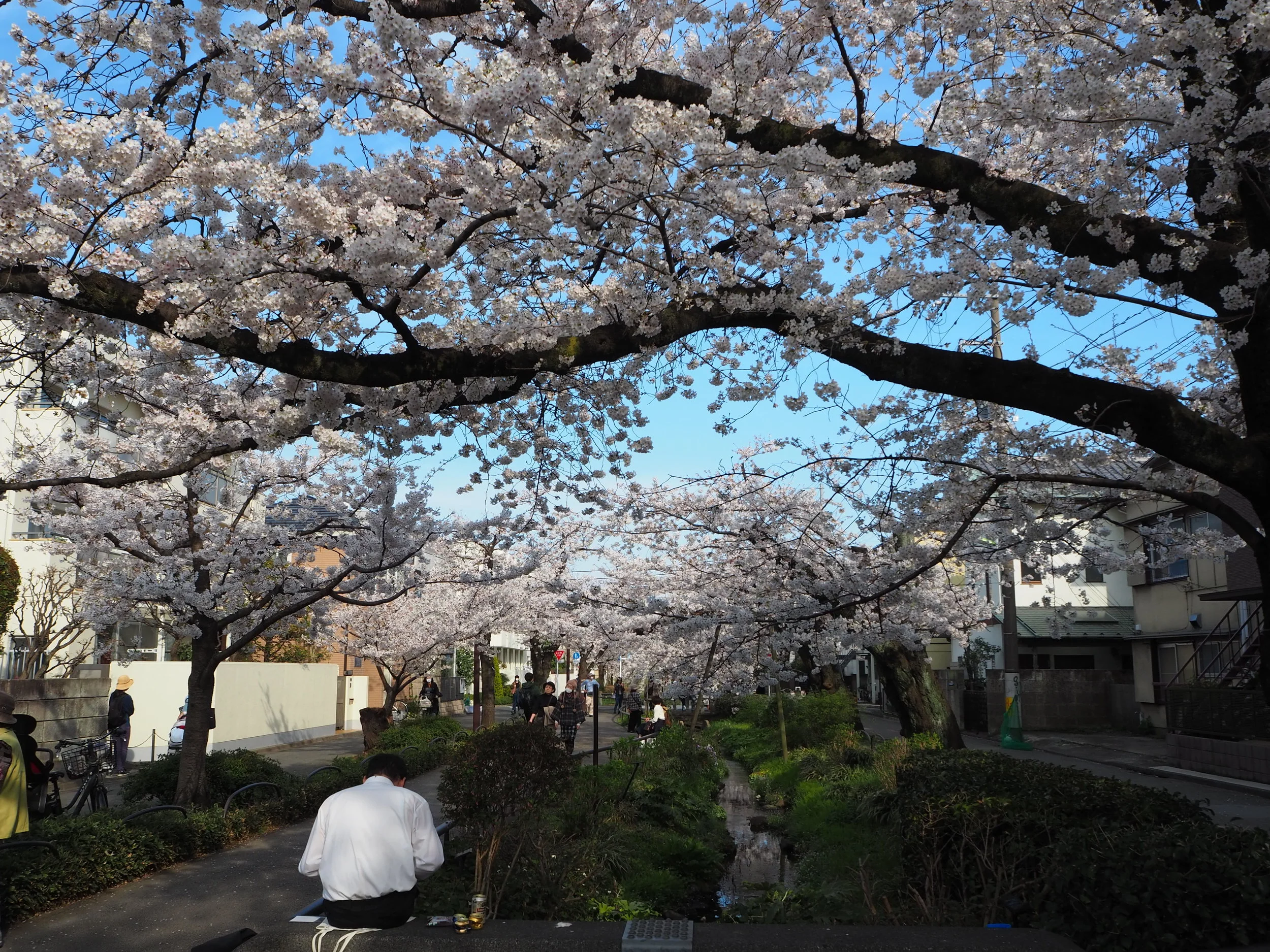 Japan - OYL (563).JPG