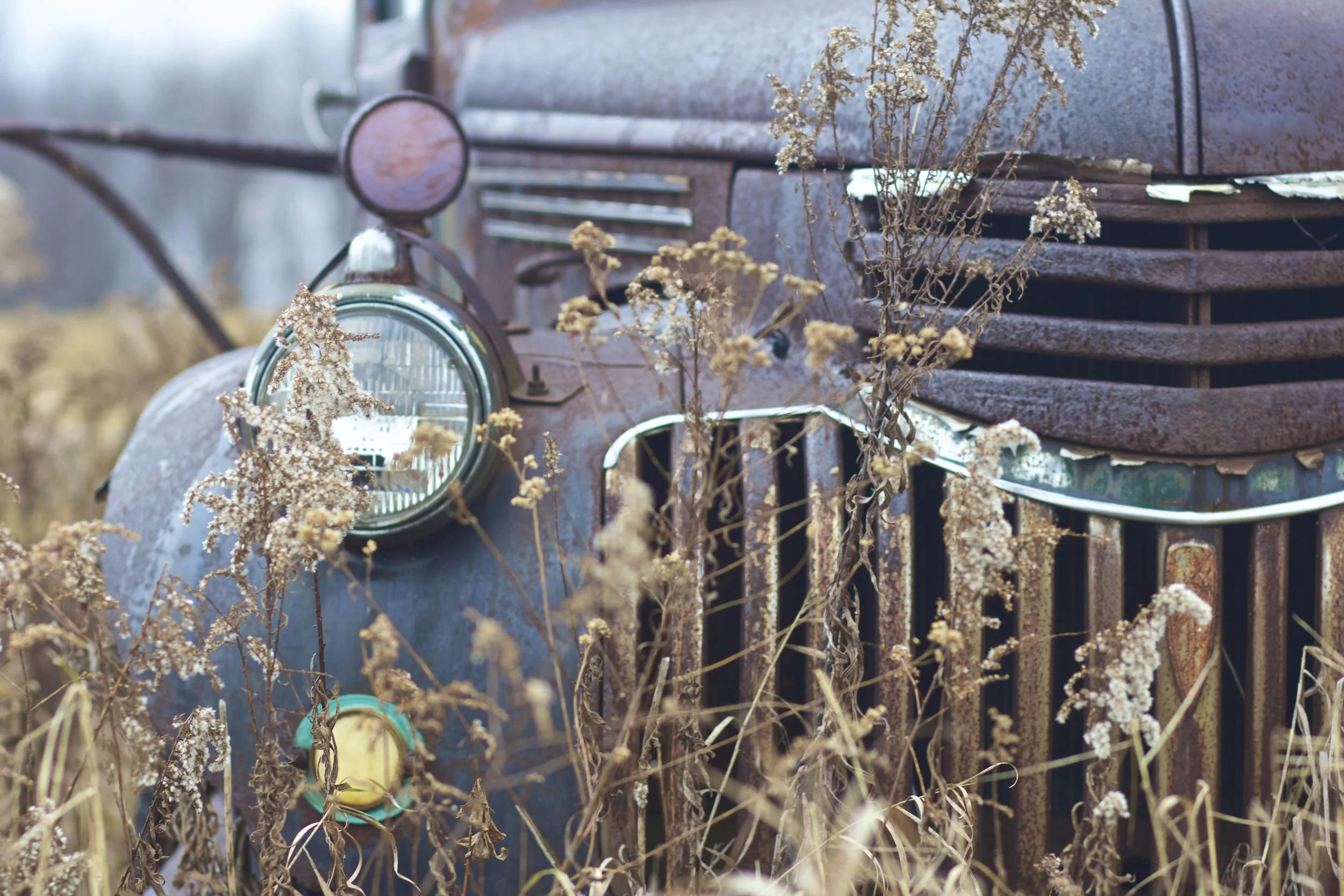 "I'm Not Old, I'm Vintage"