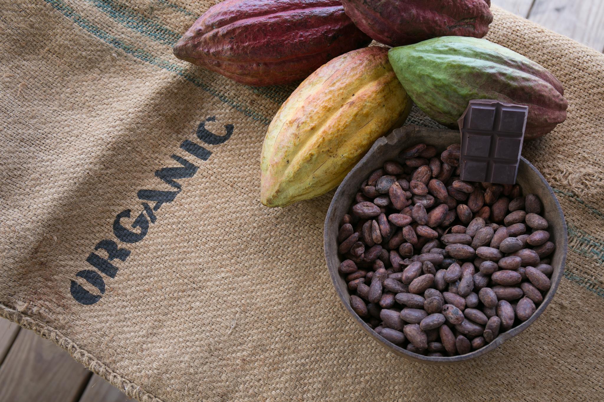 Cocoa pods, beans and the final chocolate bar (tree to bar).