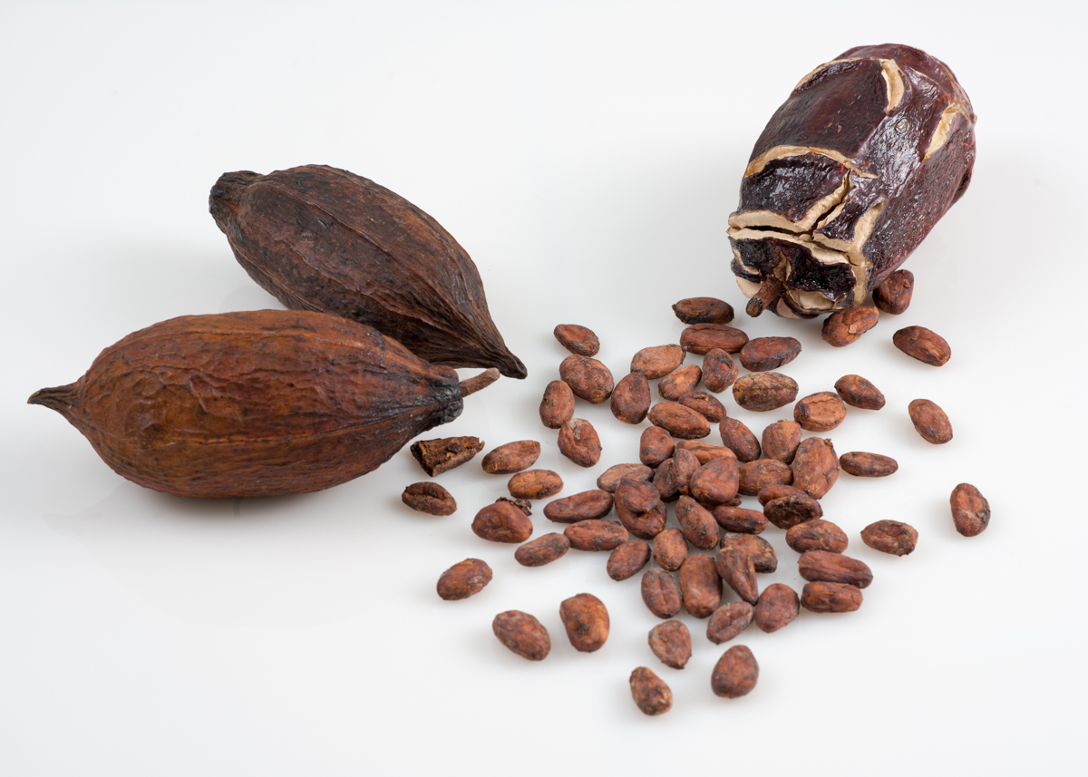 6nov16-pods and beans 1.jpg