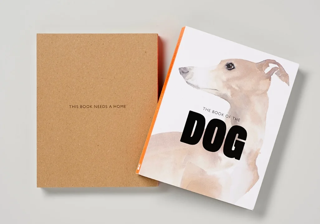 Dog-0005.jpg