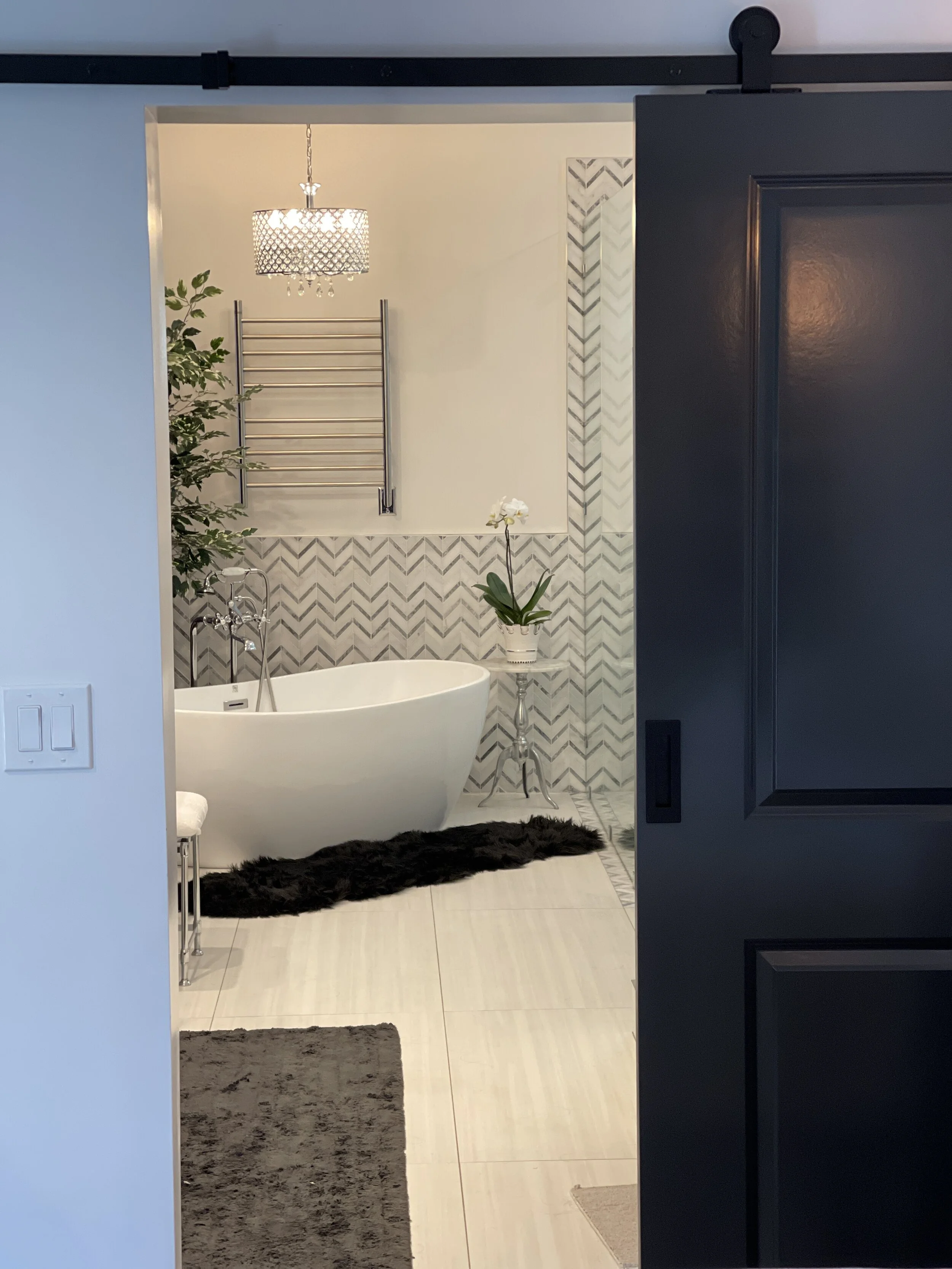  A Barn door entry into the addition from the existing master bedroom 