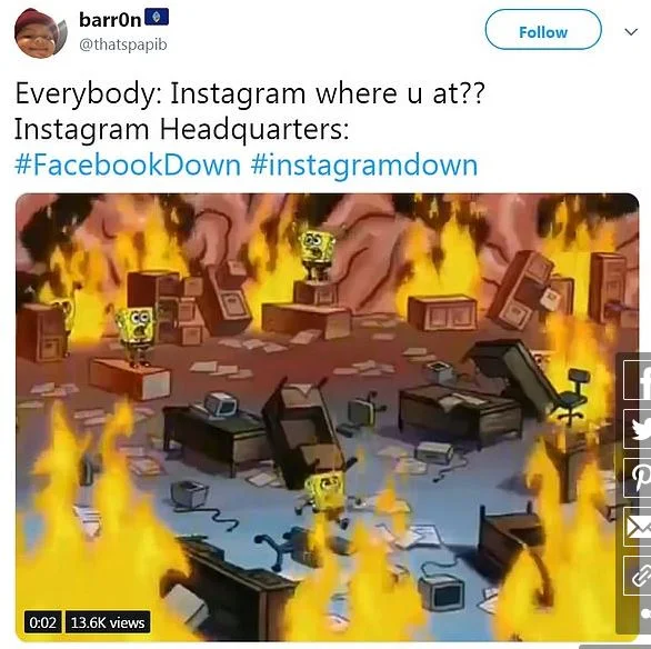sngbb.JPG