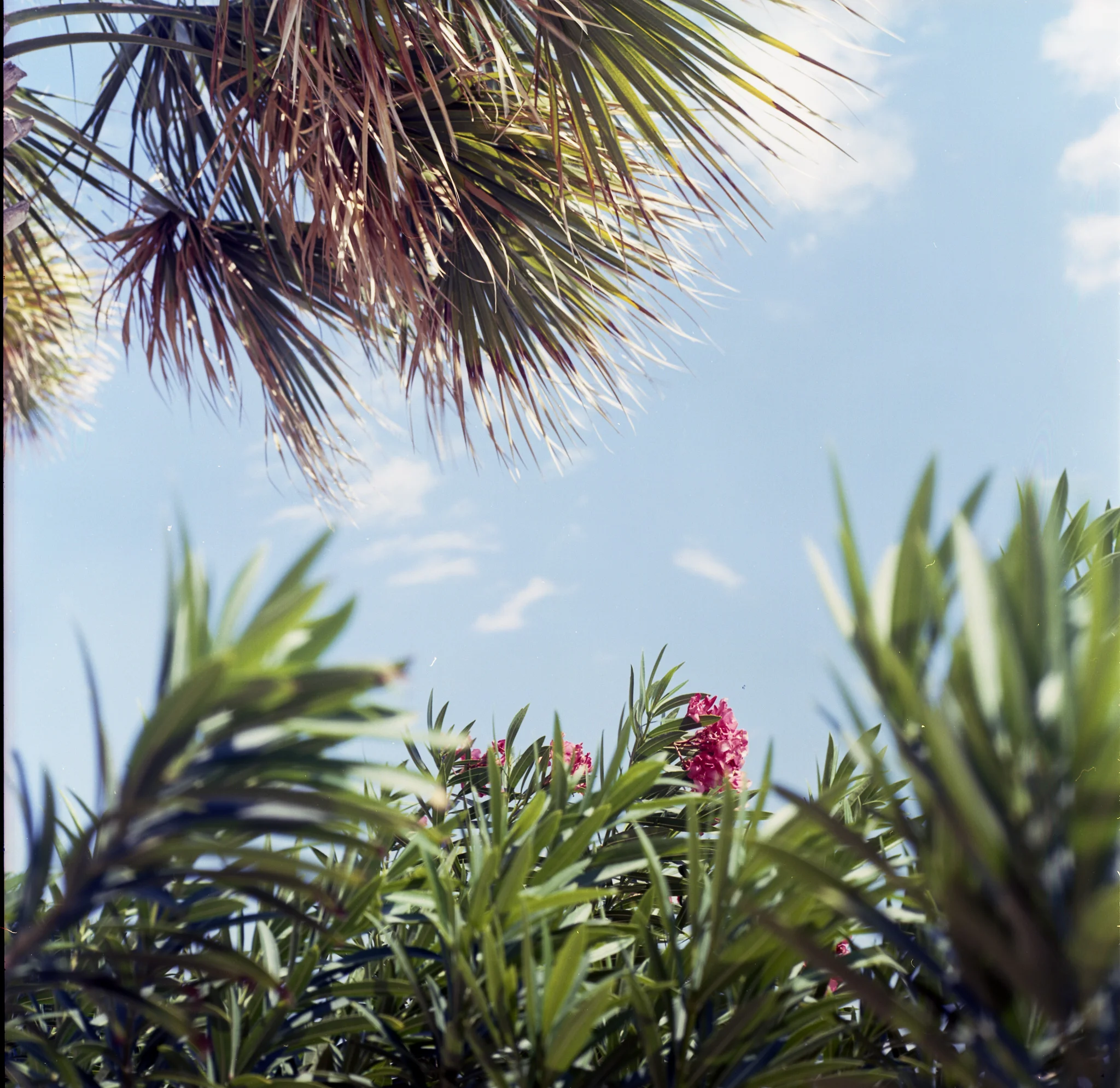 The Gulf on Film | Orange Beach, Alabama