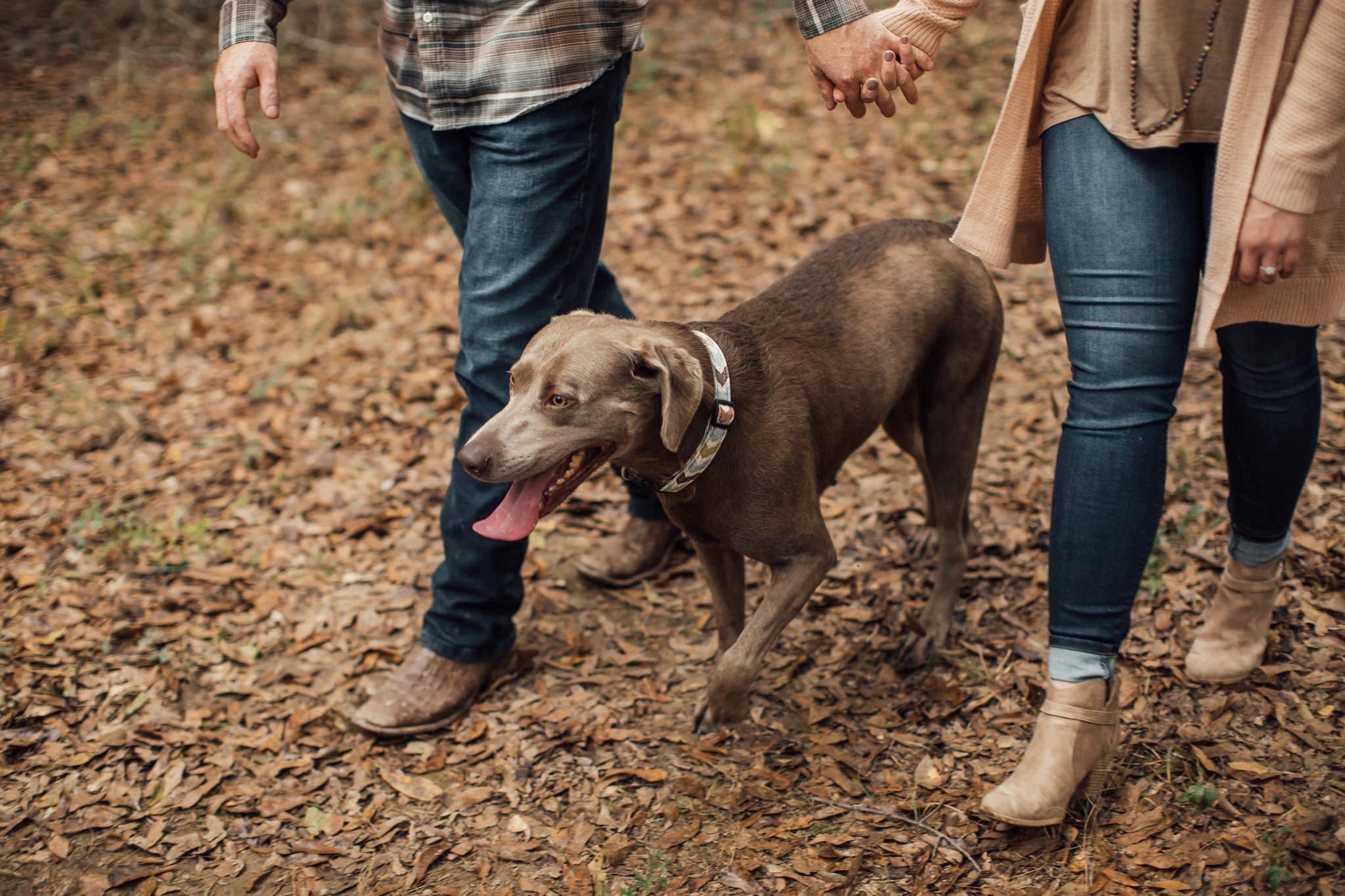 fall-engagement-photoshoot-cassie-cook-photography-memphis-wedding-photographer-8.jpg