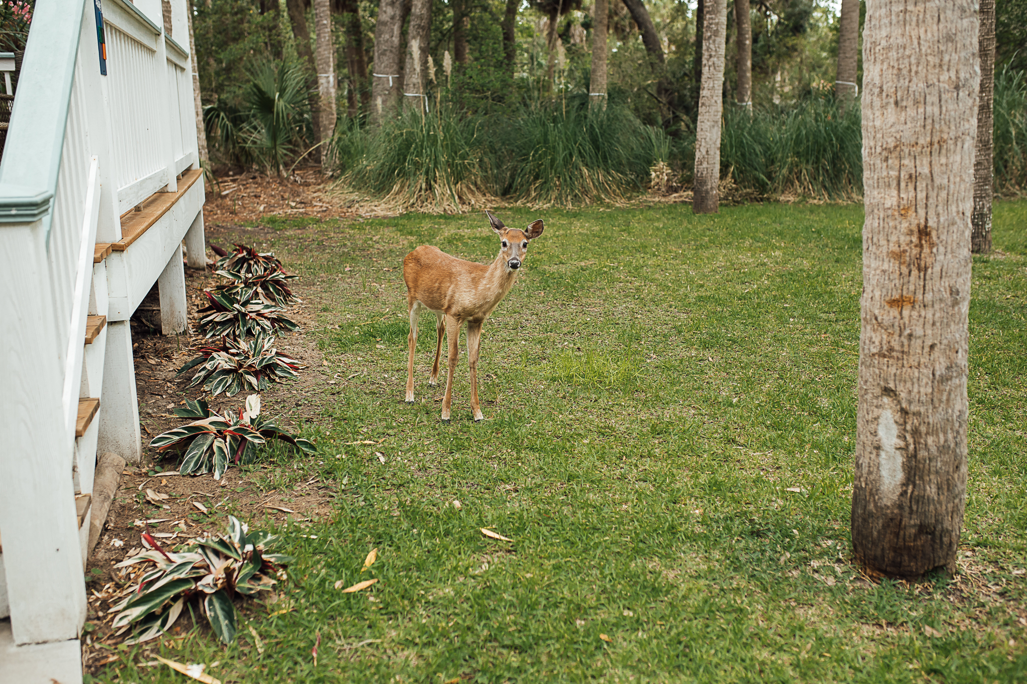 Fripp-Island-Resort-Beach-Wedding-Katie-and-Larry90.jpg