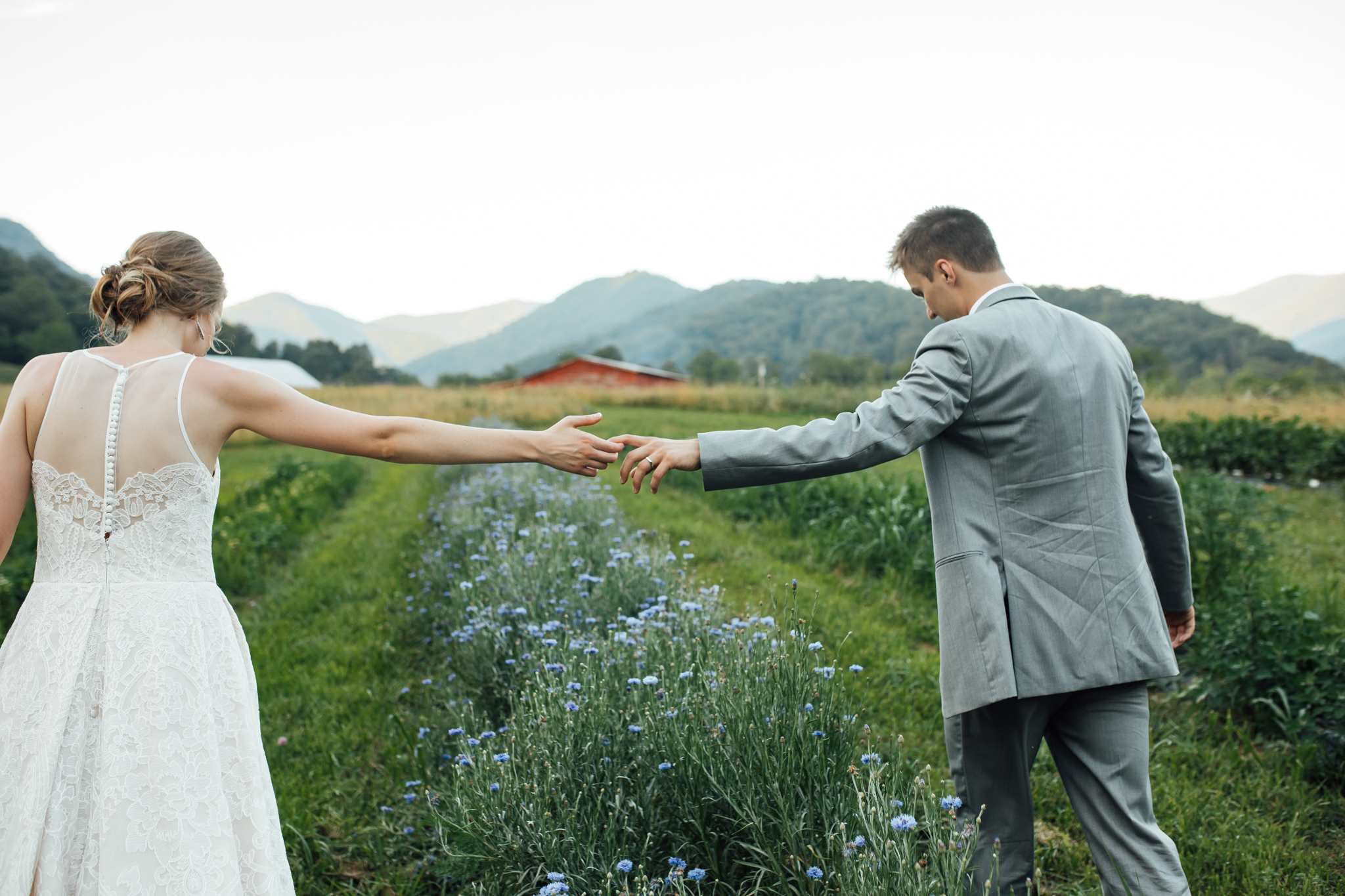 ashville-wedding-photographers-thewarmtharoundyou--backyard-asheville-wedding-mountain-wedding (185 of 244).jpg